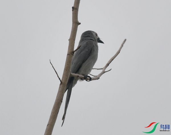 DSC_2359.JPG