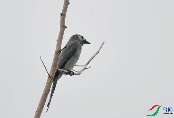 DSC_2360.JPG