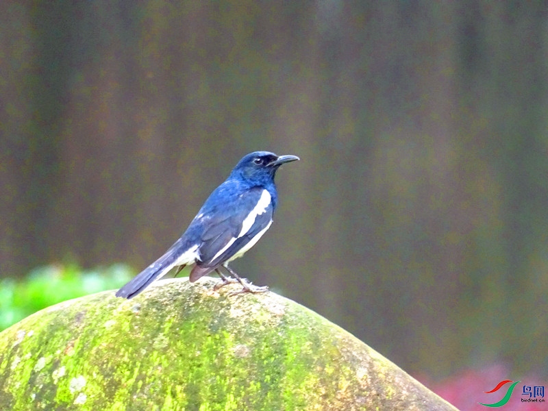 DSC02119.JPG