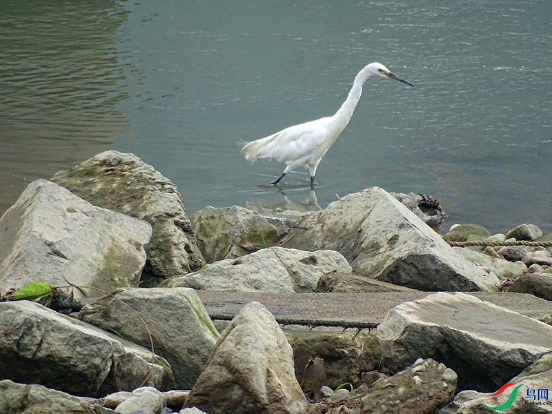 DSC02128.JPG