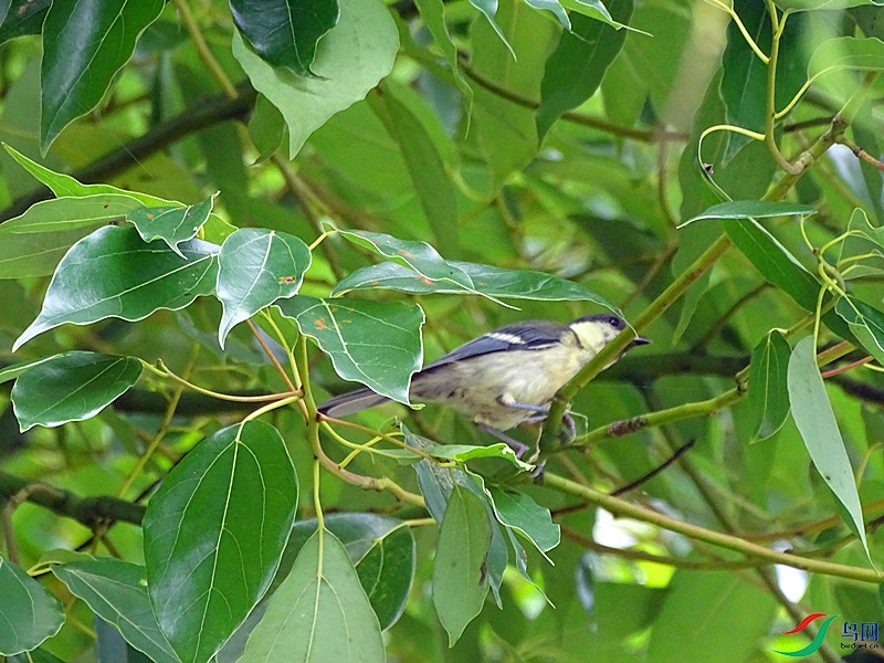 DSC02136.JPG