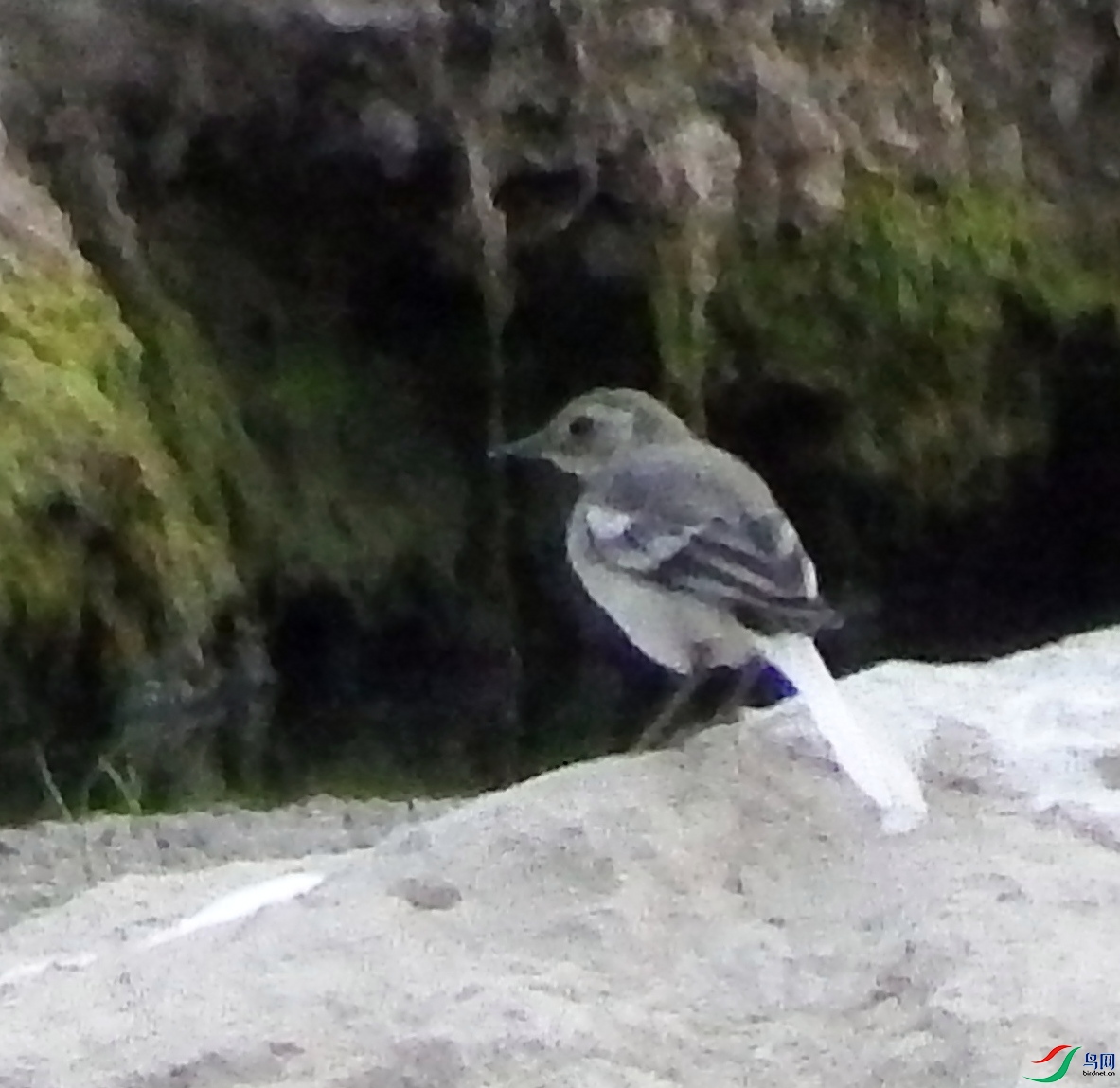DSCF8277.JPG