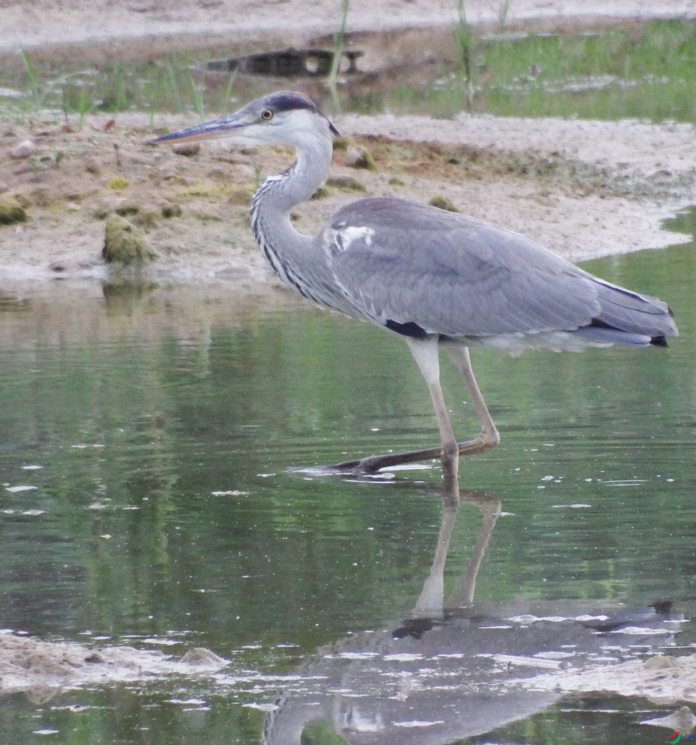 S0028167.JPG