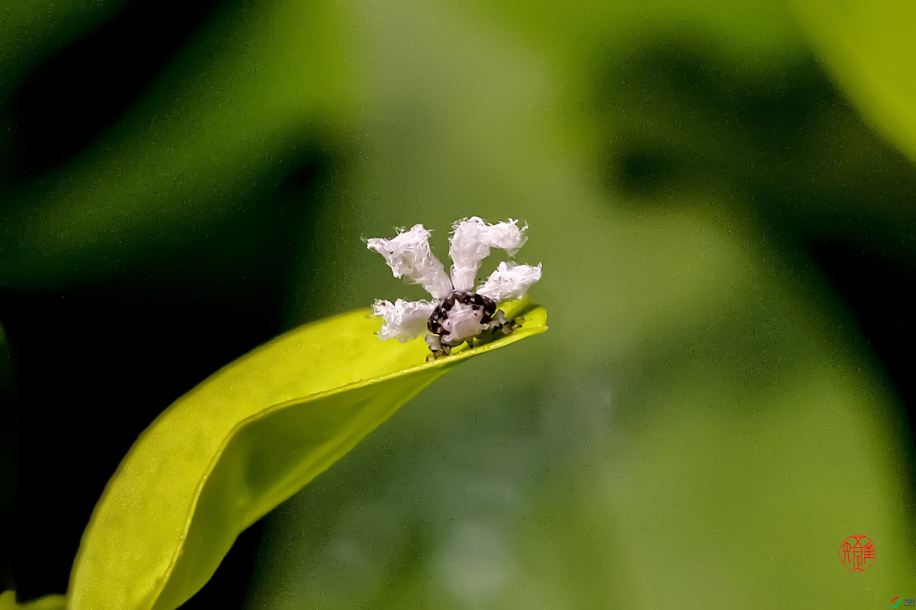 _RH77265n ����.jpg