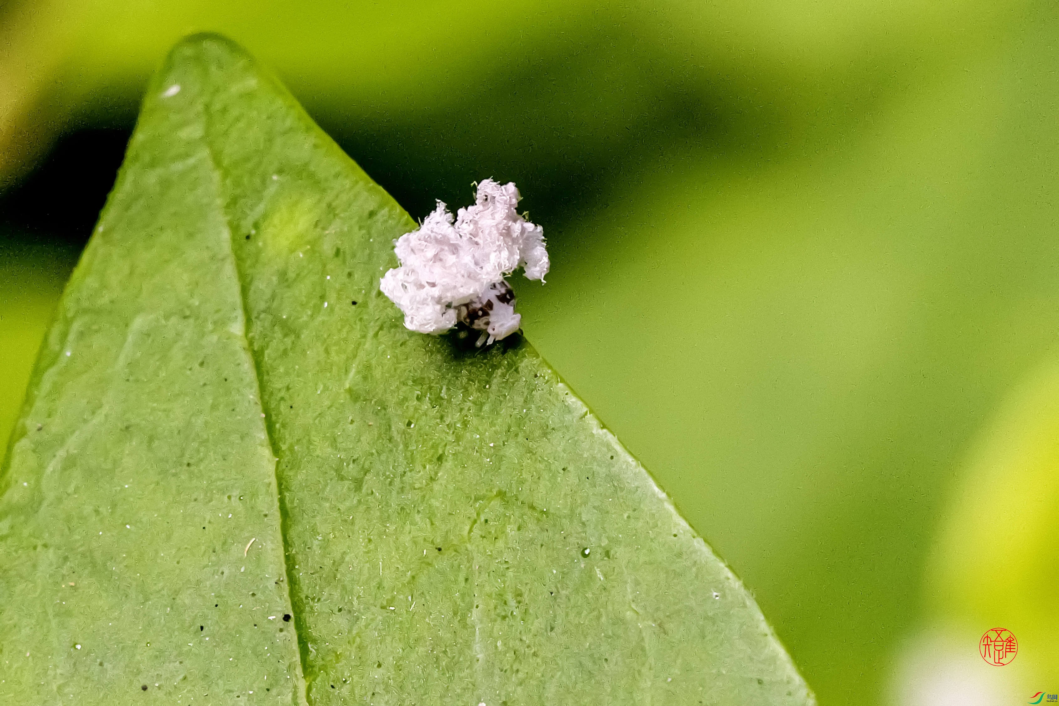 _RH77293n ����.jpg