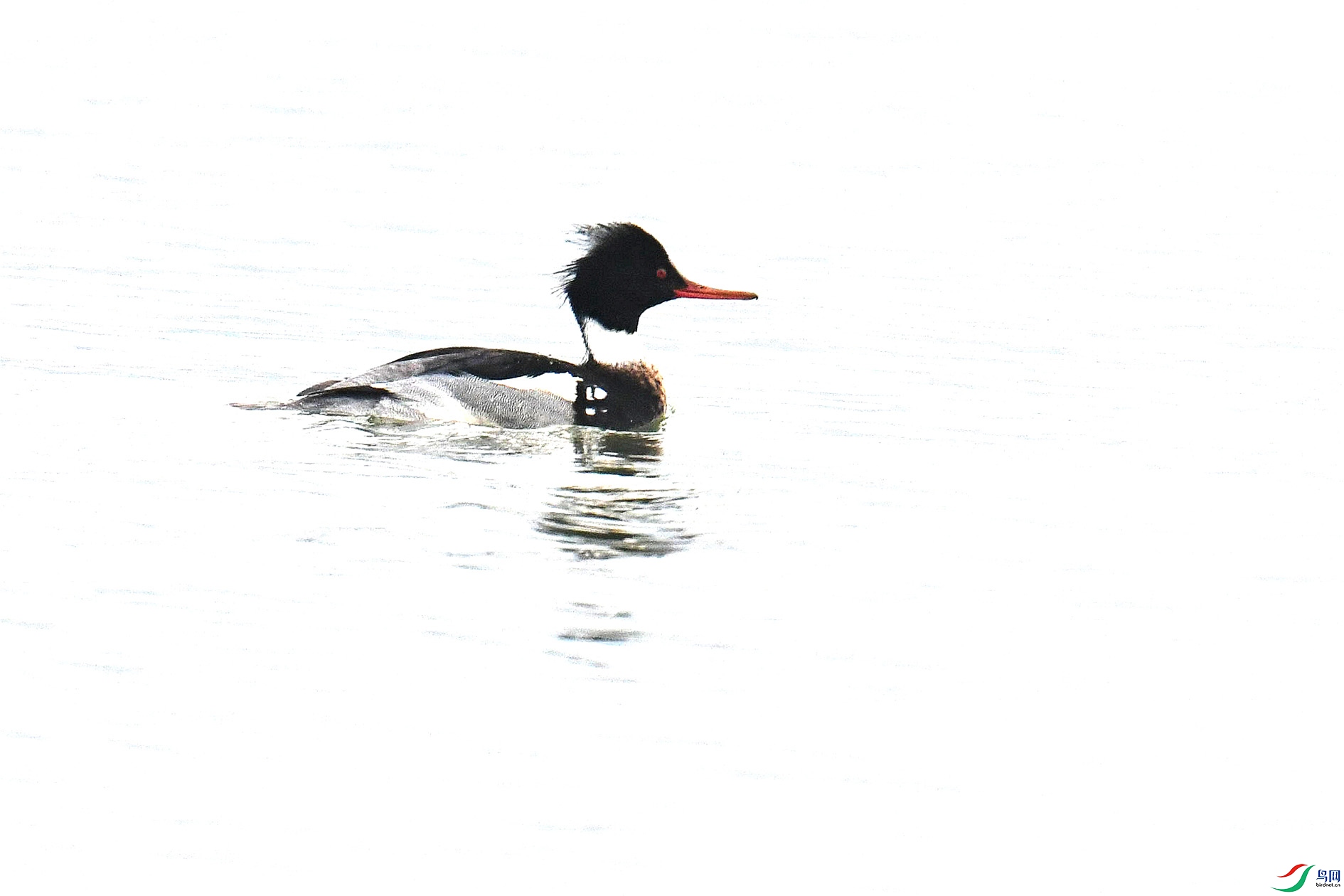 DSC_0489_����.jpg
