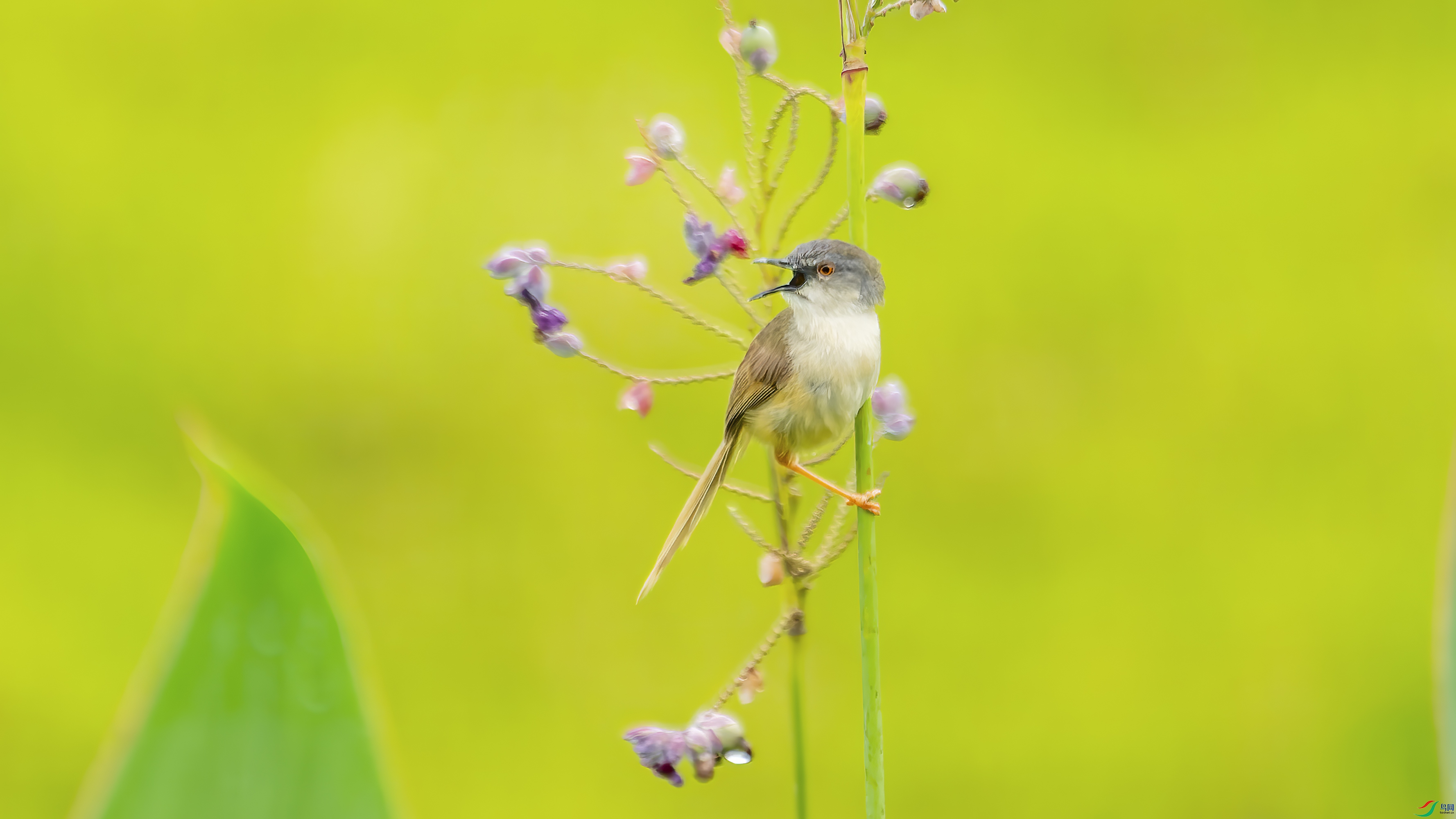 DSC_1344.jpg