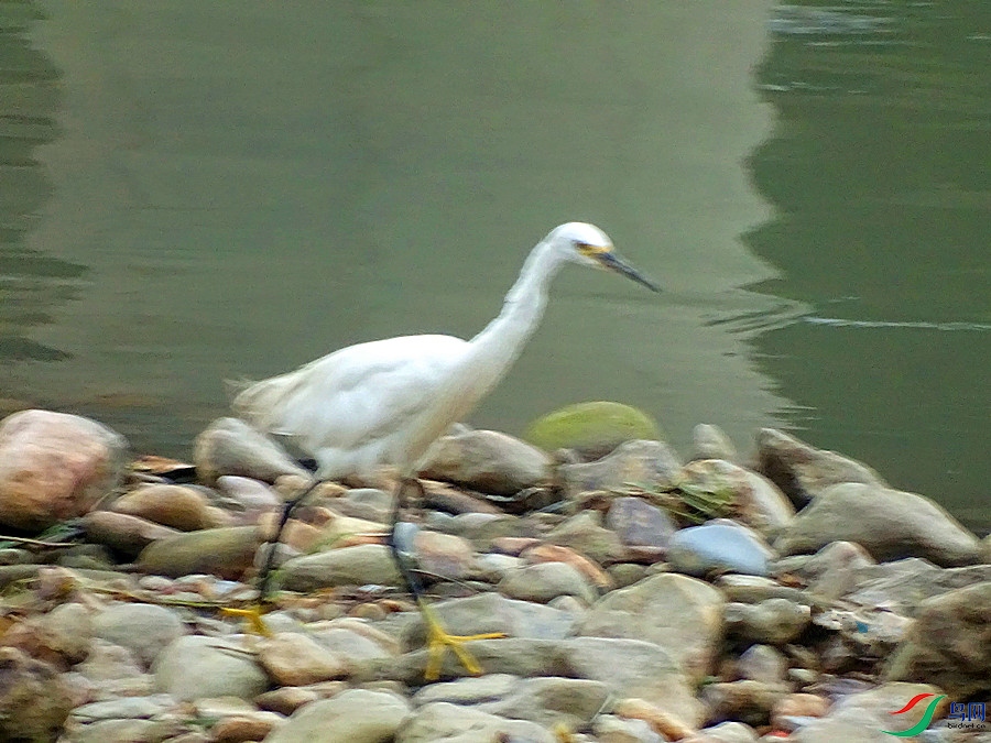 DSC02131.JPG