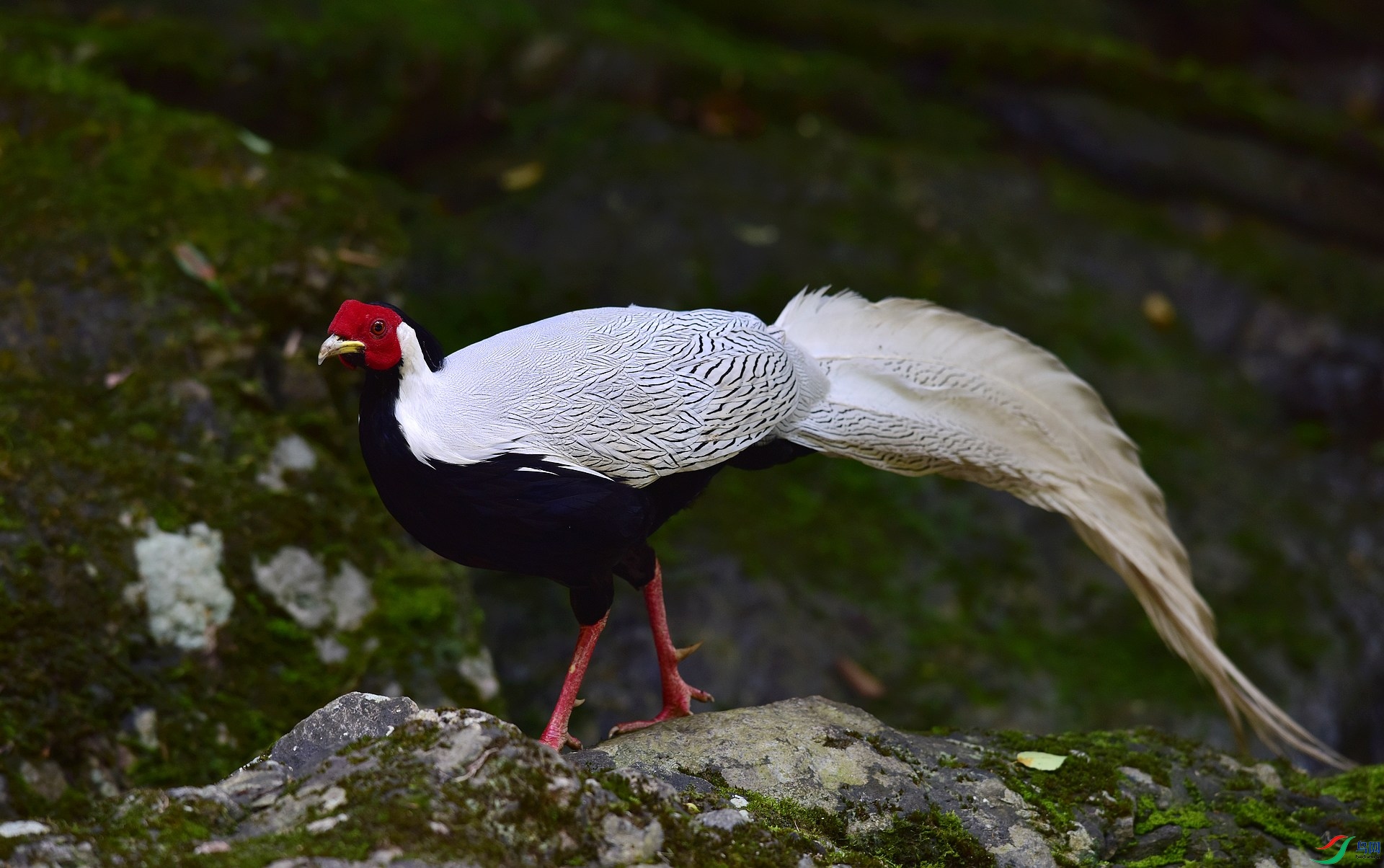 D8I_9309.jpg