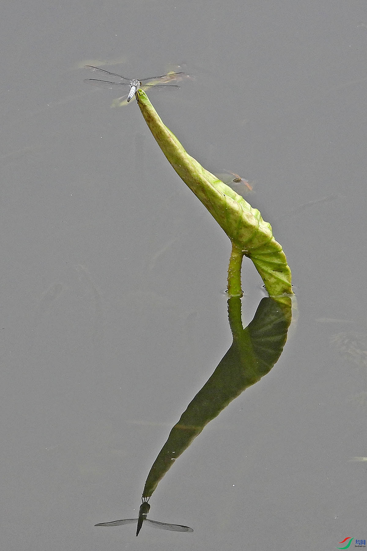DSCN1378.jpg