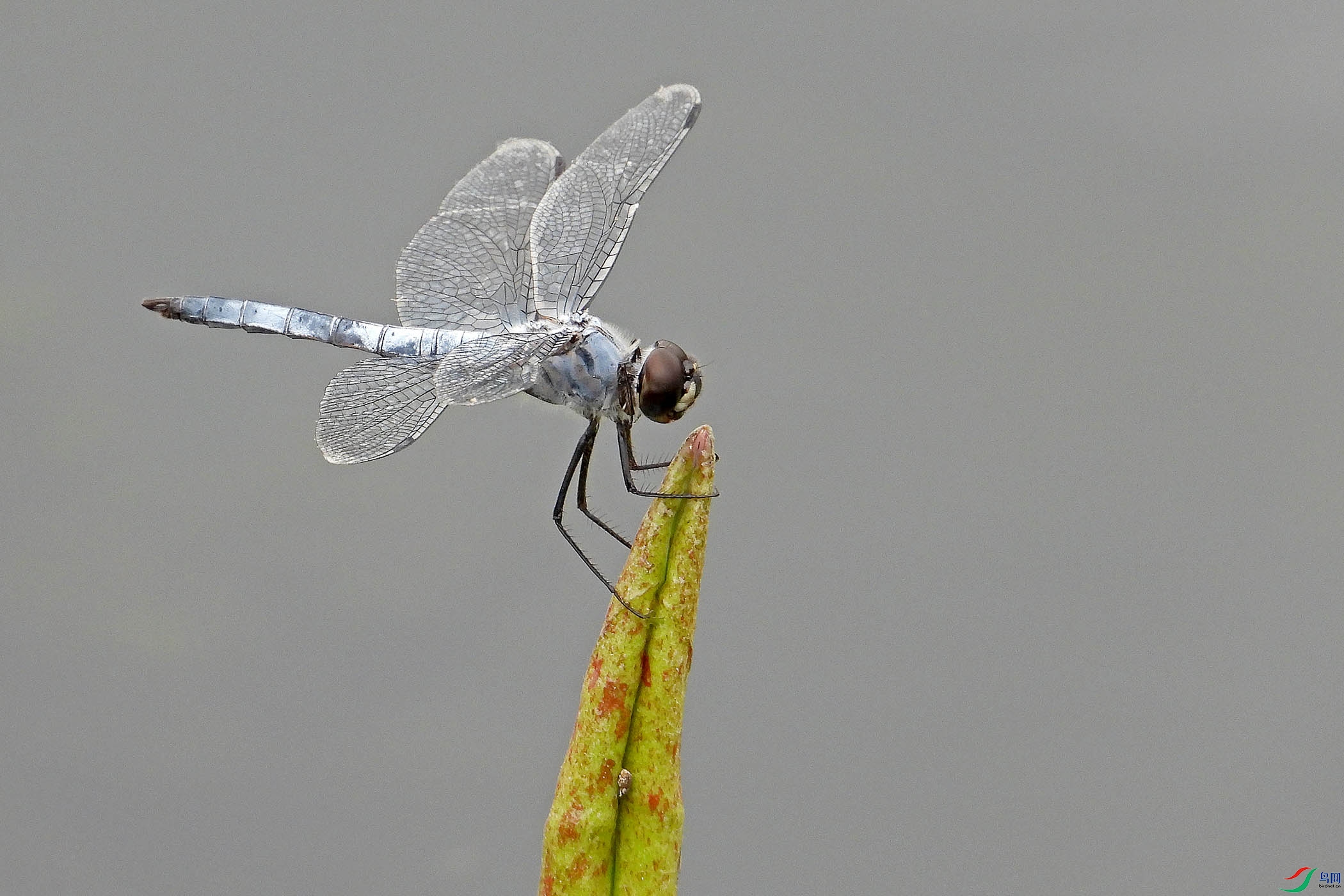 DSCN1384.jpg