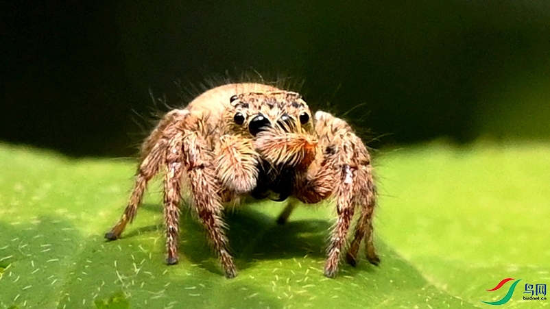 CFH_3057_����.jpg