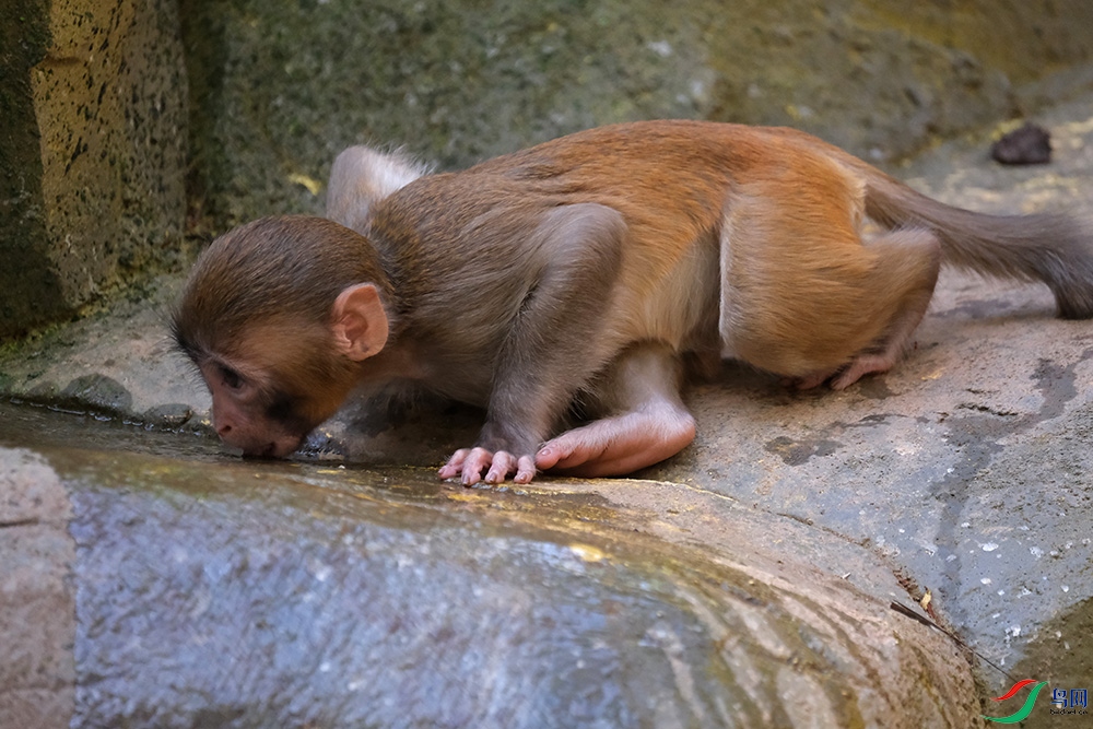 DSCF9795.1.jpg