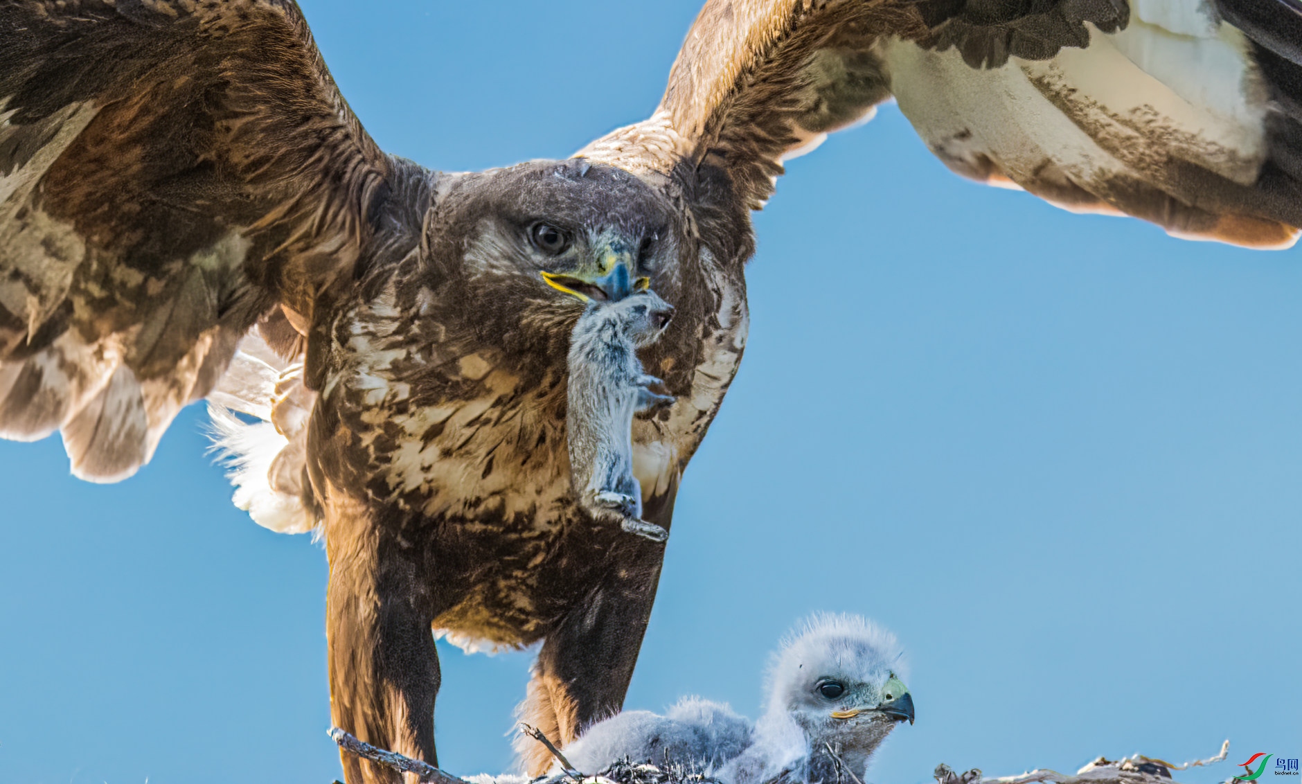 DSC_4735 ����-1_01.JPG