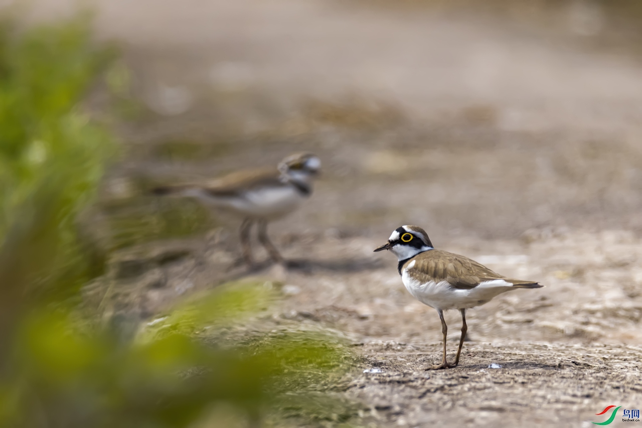 ����     ����a