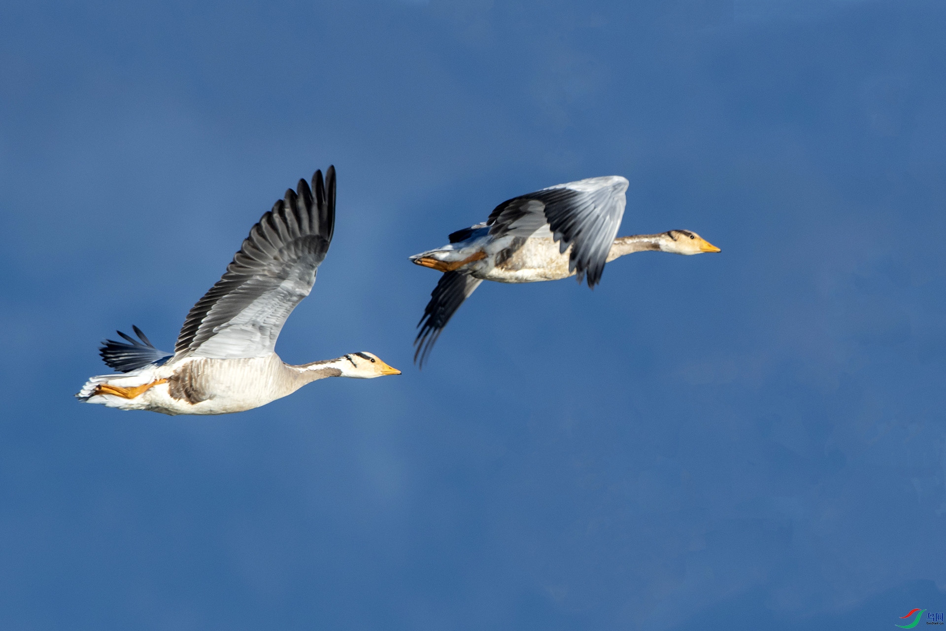 DSC_3052.jpg