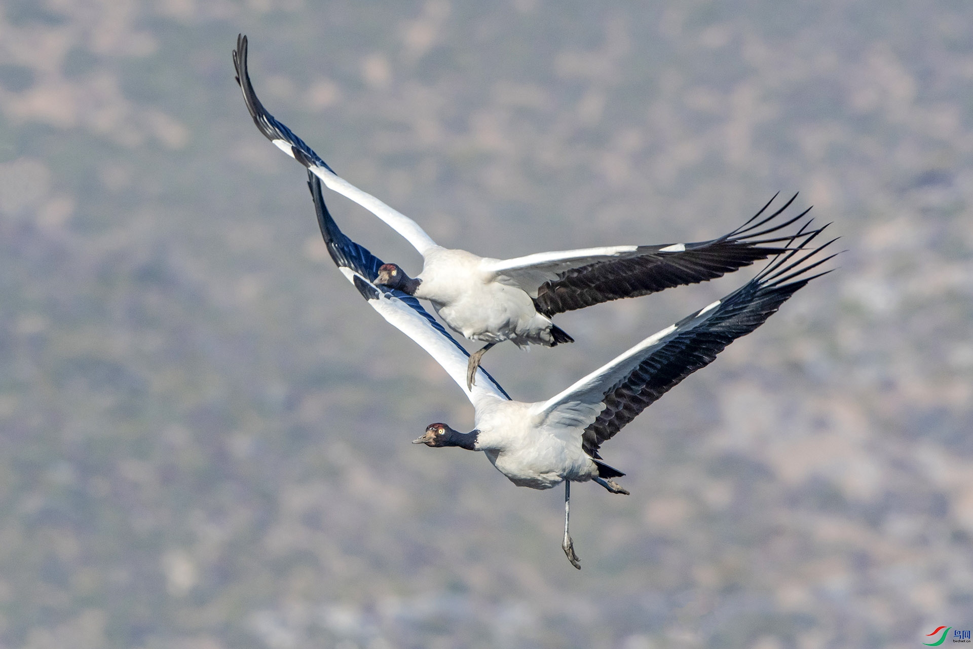 DSC_3137.jpg