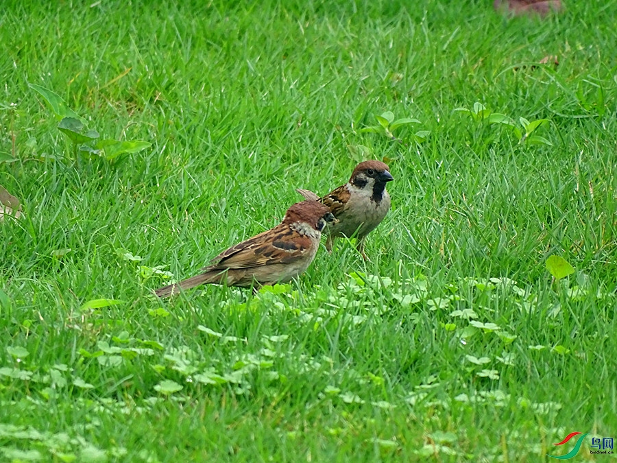 DSC02090.JPG