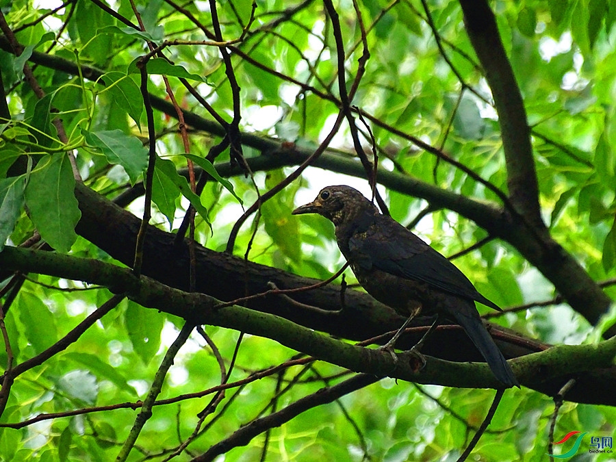 DSC02092.JPG