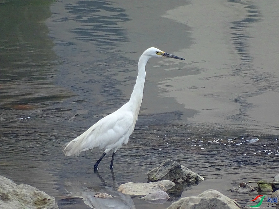 DSC02130.JPG