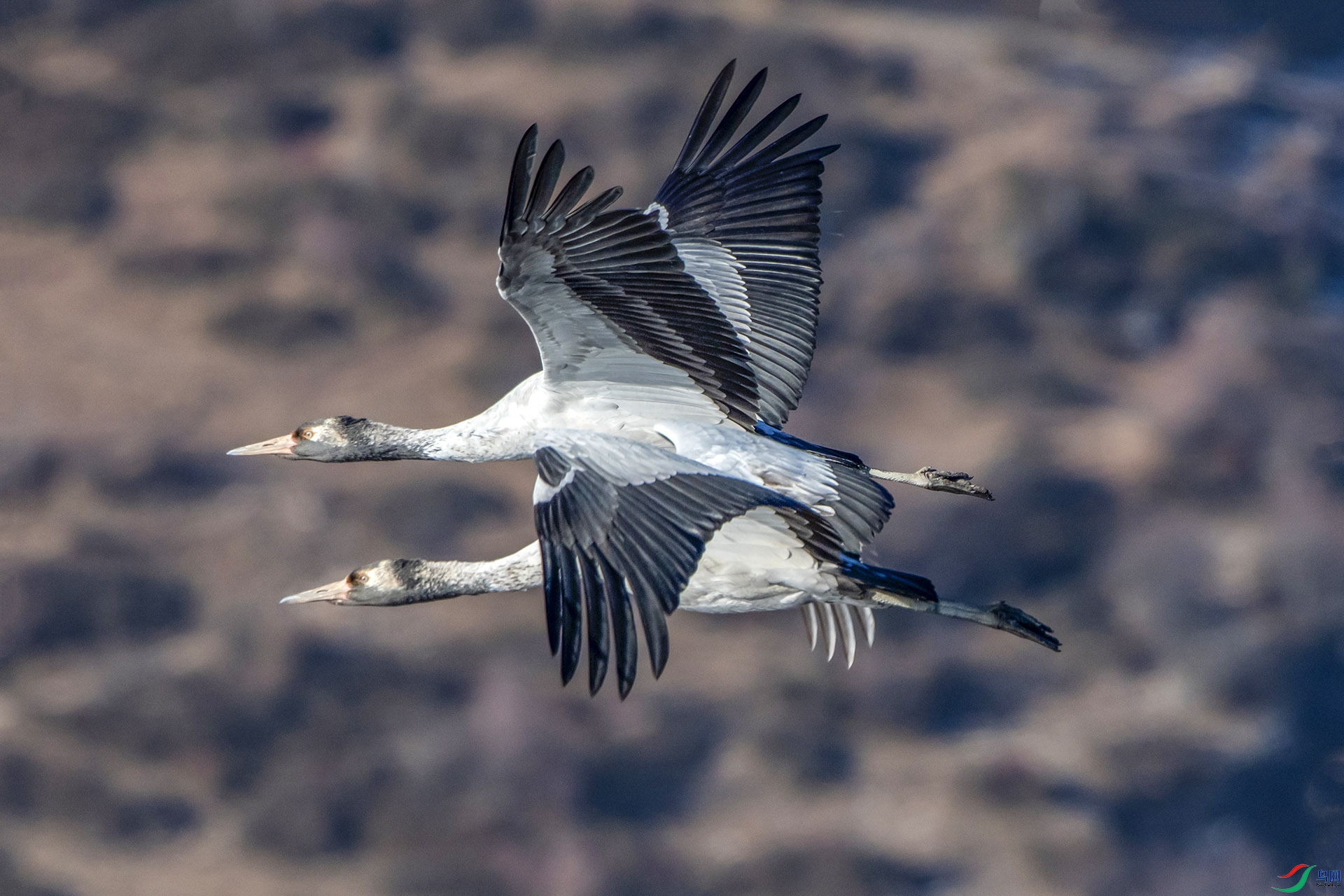 DSC_3264.jpg