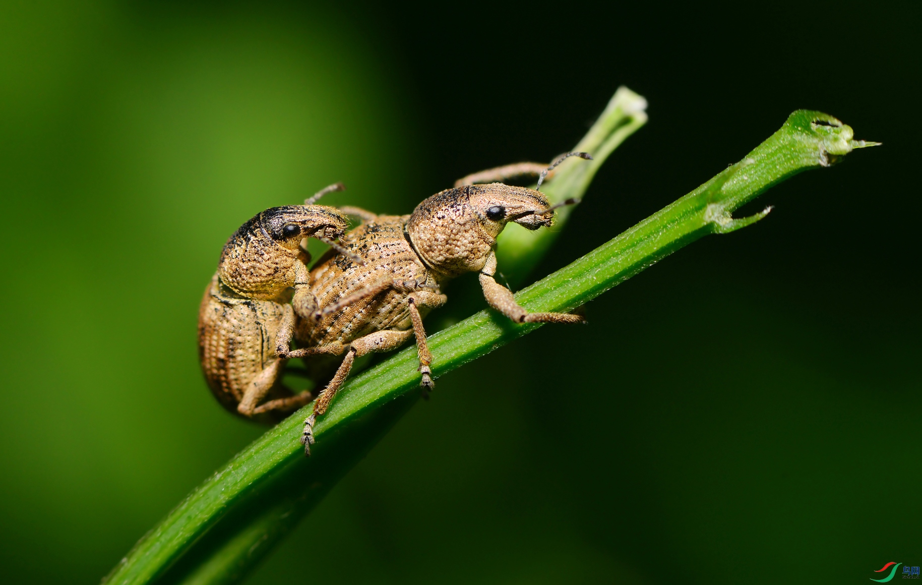 DSC_7612 ����.jpg