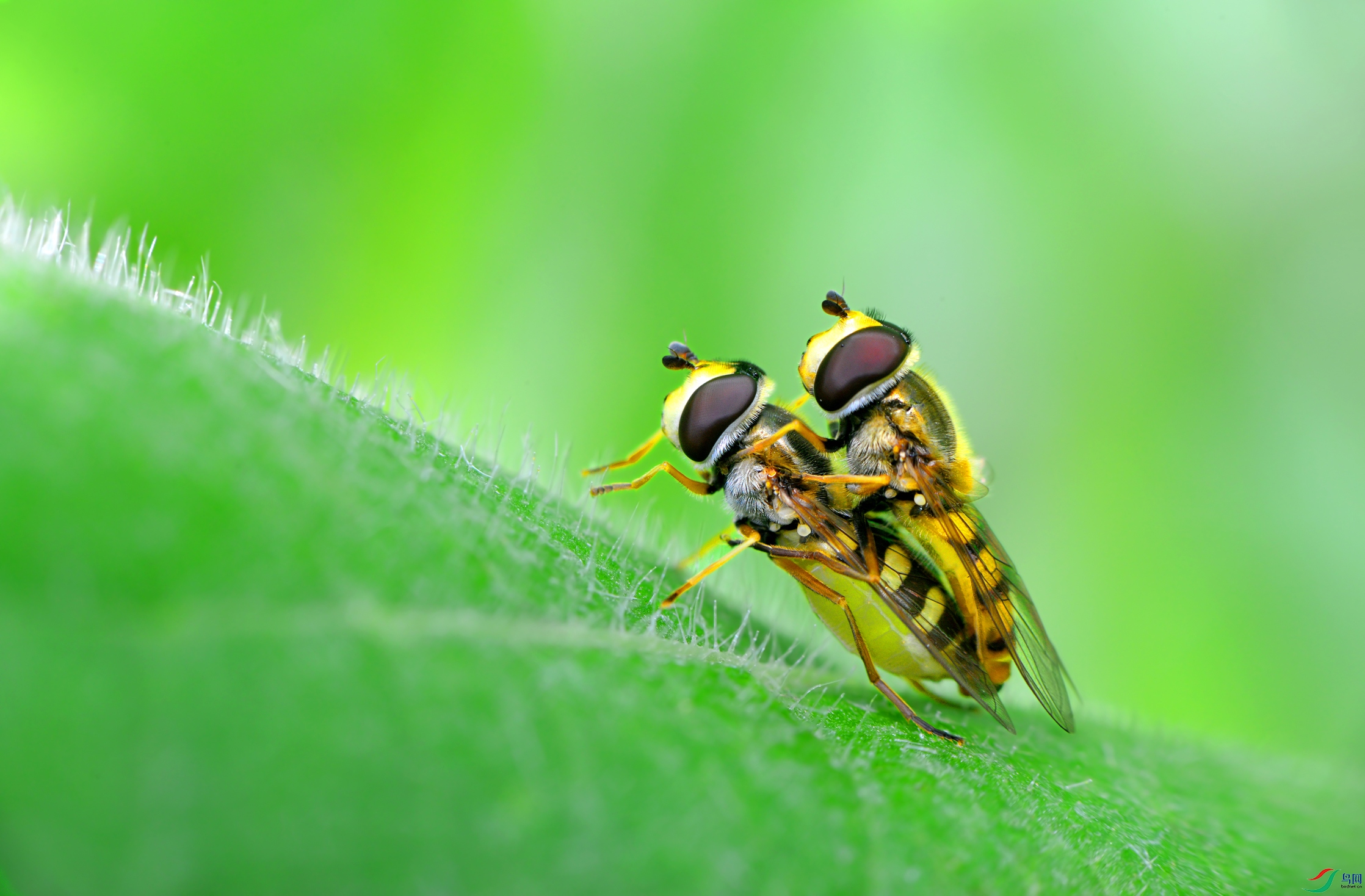 DSC_7902 ����.jpg