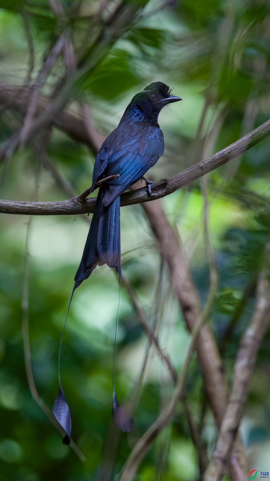 ��Pβ_20190530_5075.jpg
