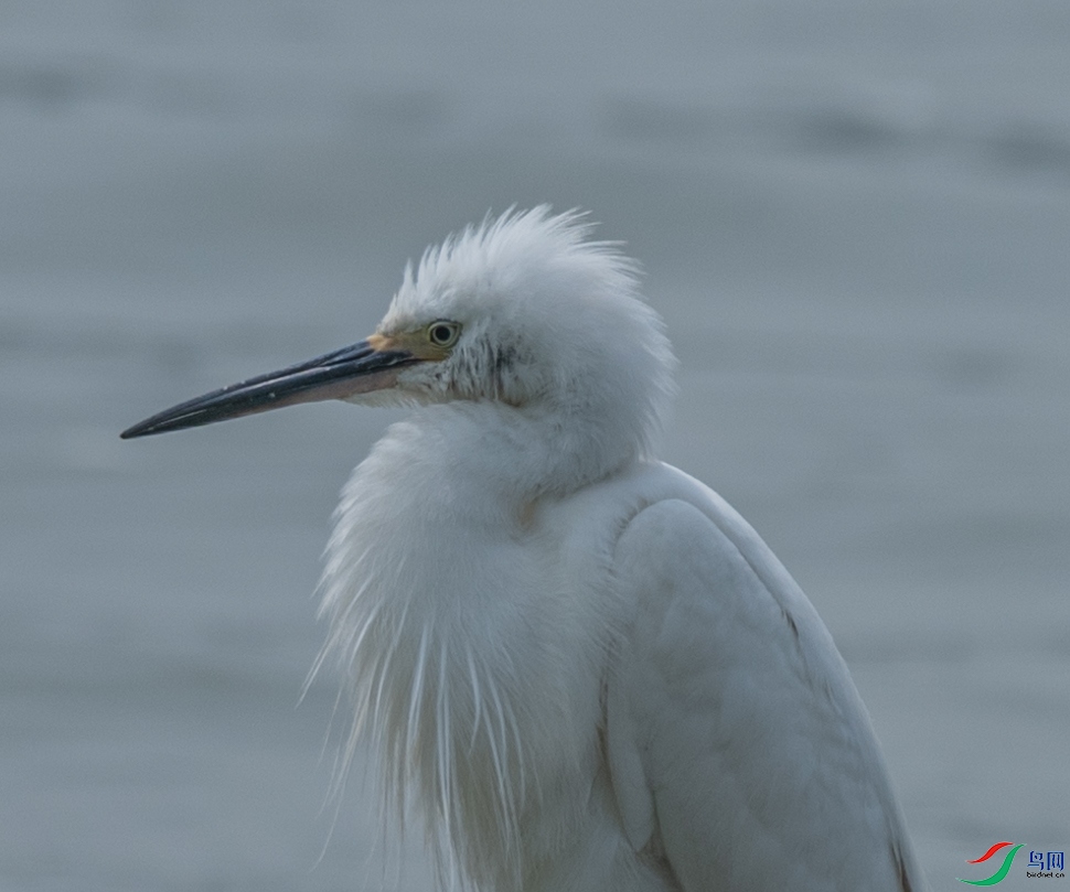 DSC_7349.jpg