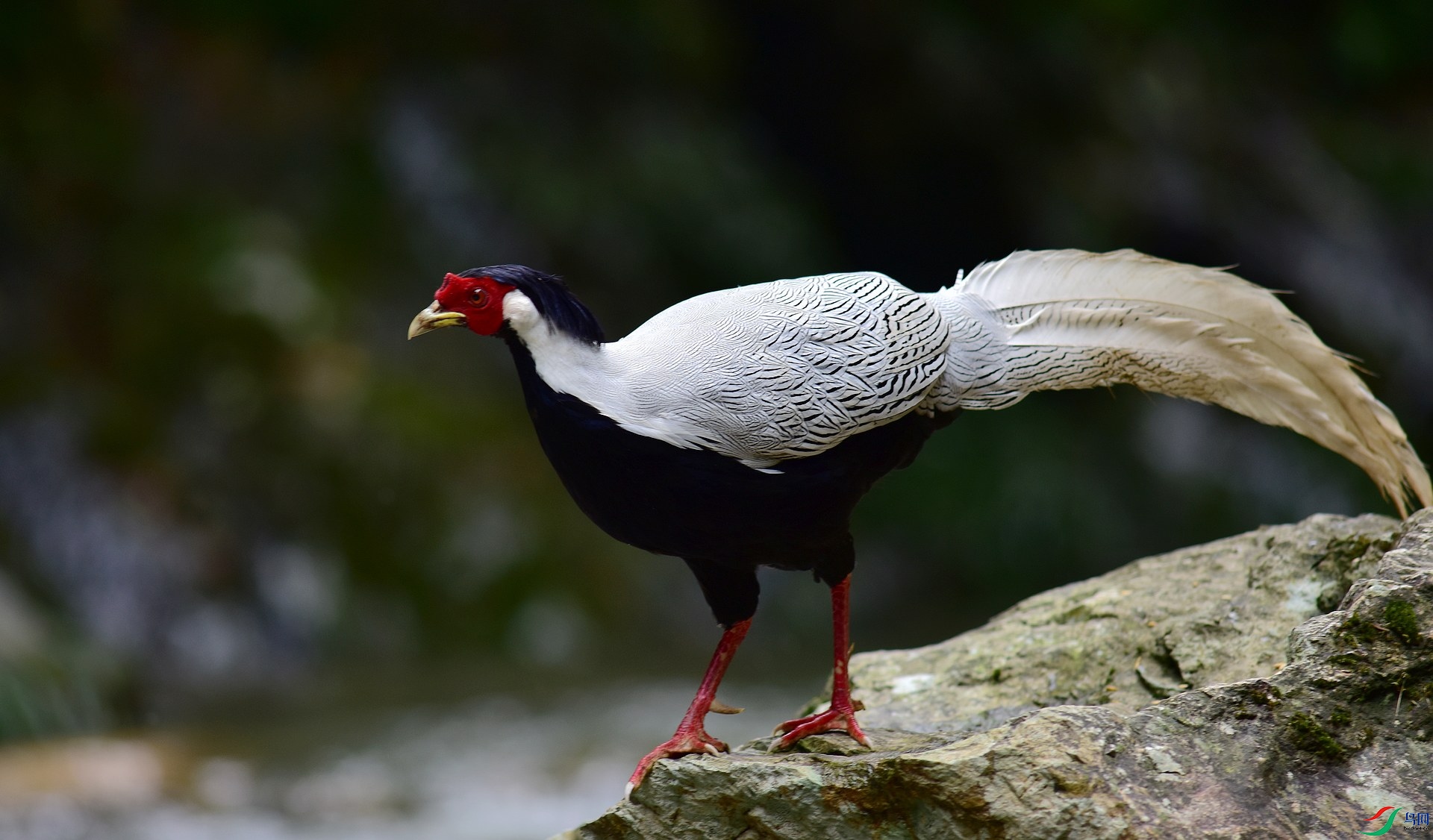 D8I_8550.jpg