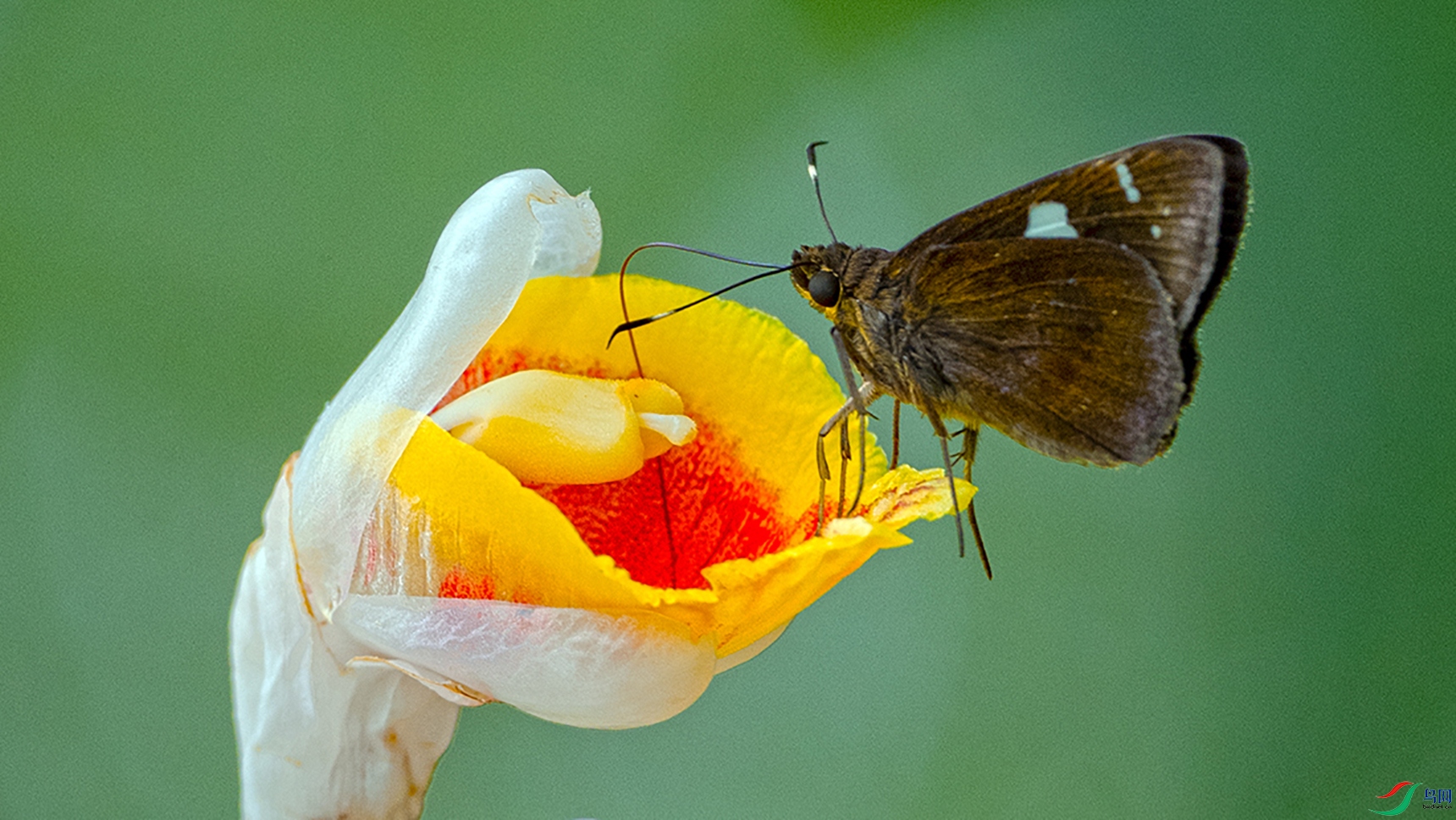 9��DSC_6049.jpg