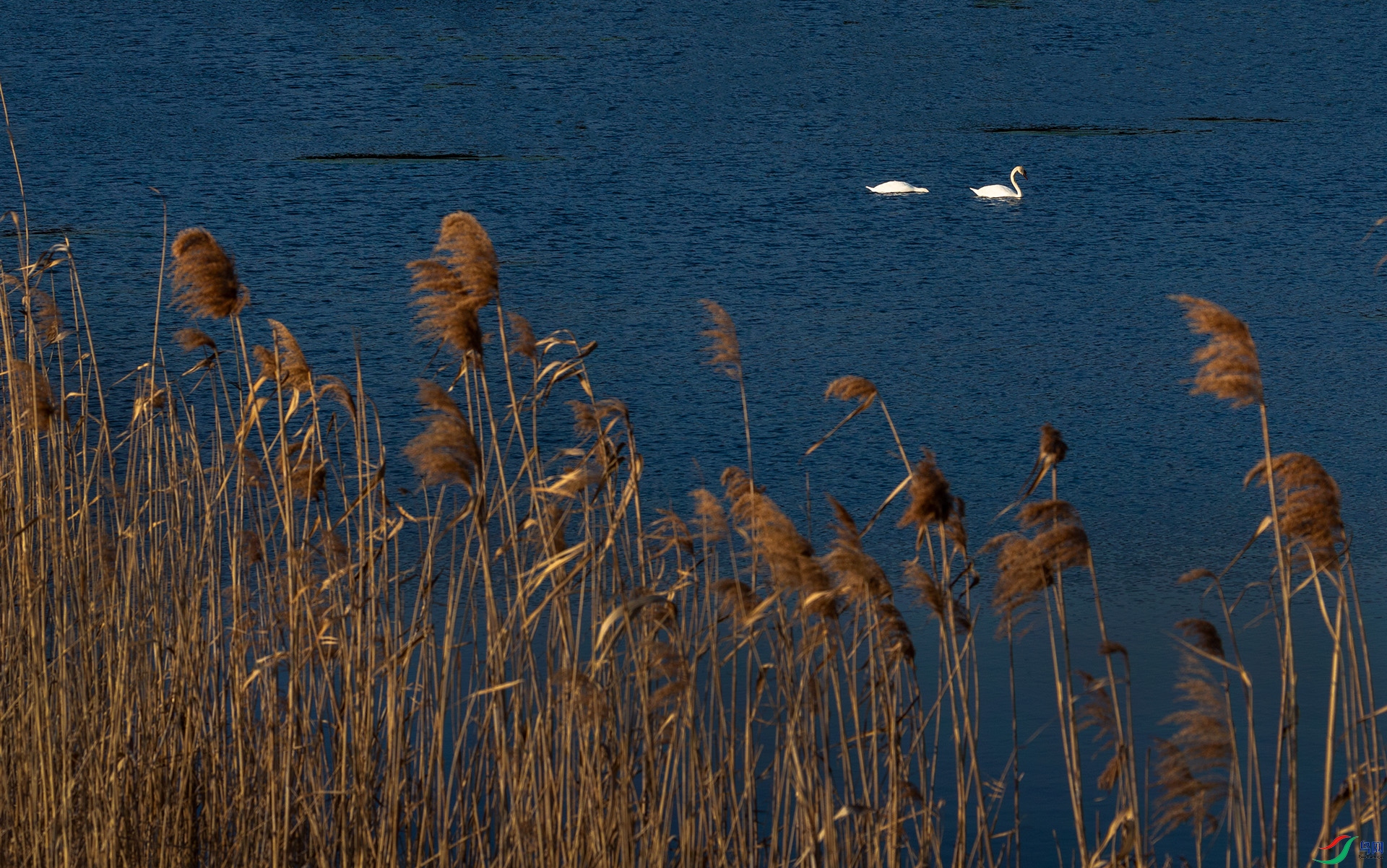 _QH_6716-1920.jpg