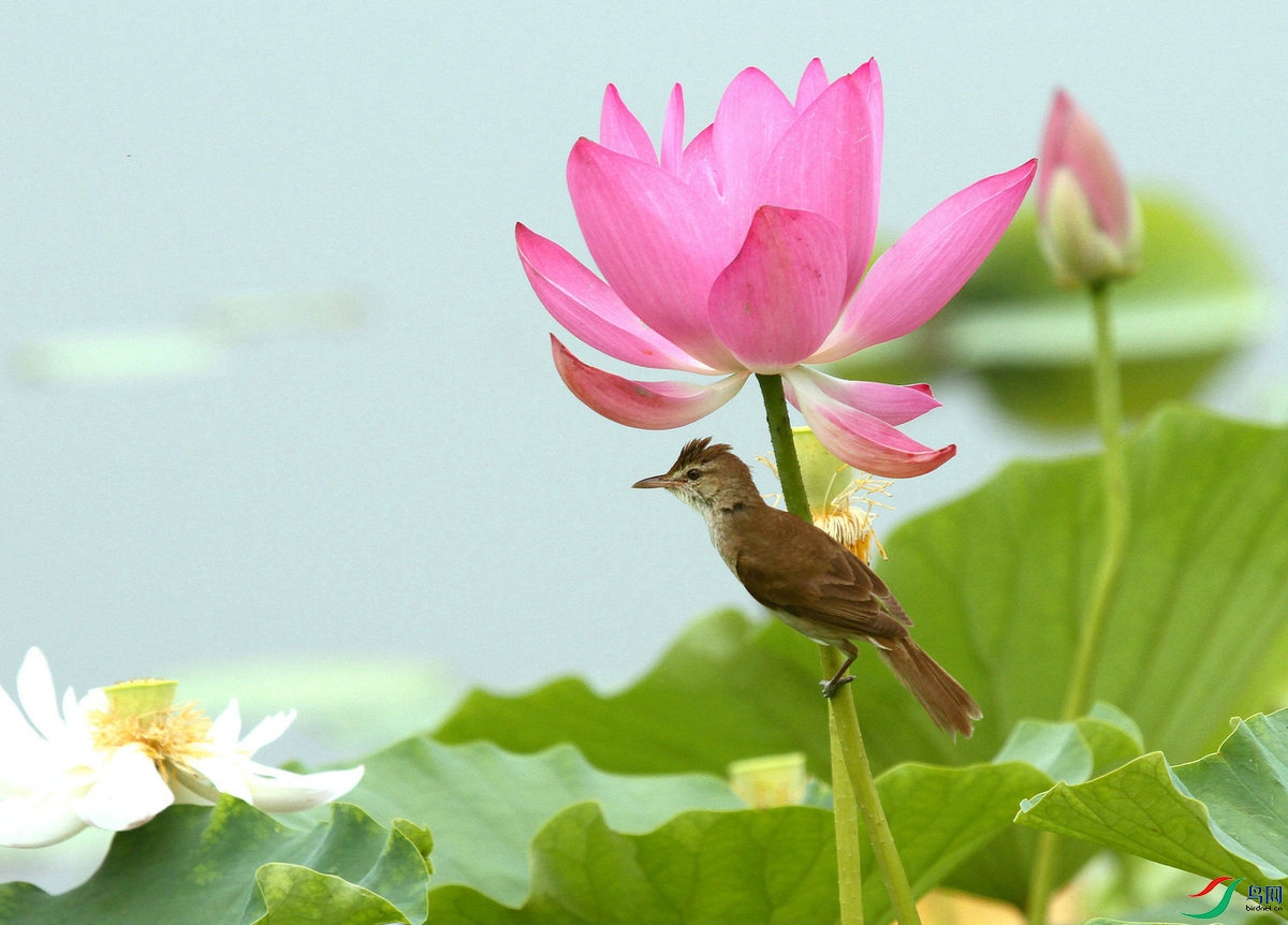 H 03_����.jpg