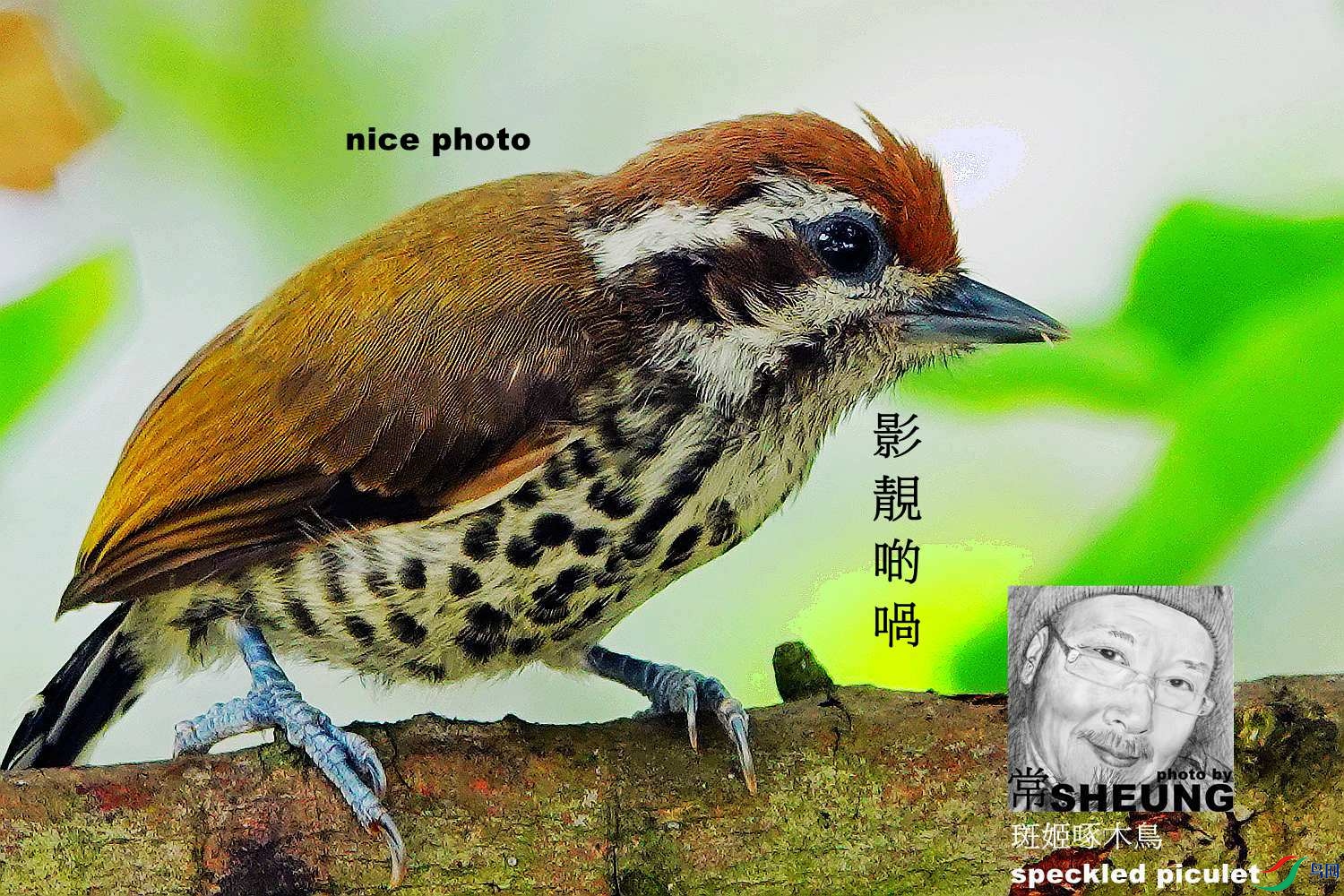 sd DSC07948 3nmete.jpg