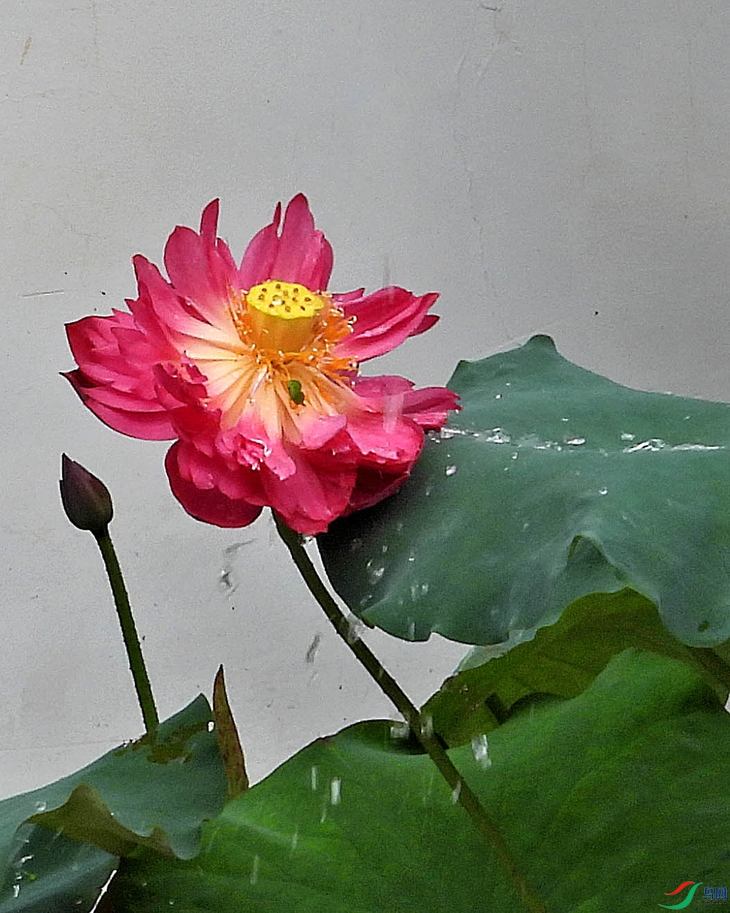 DSCN1562.JPG