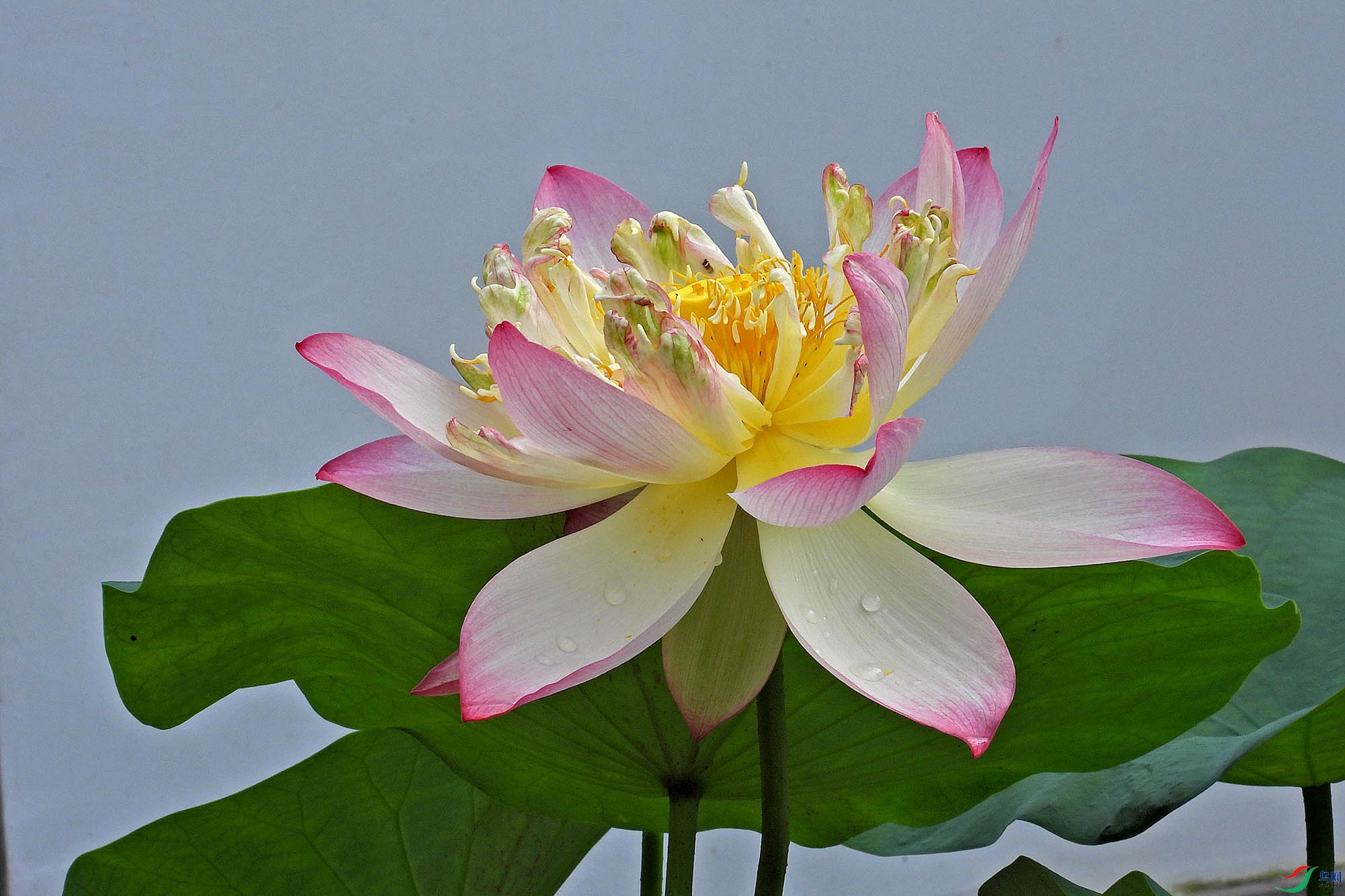 DSCN1578.JPG
