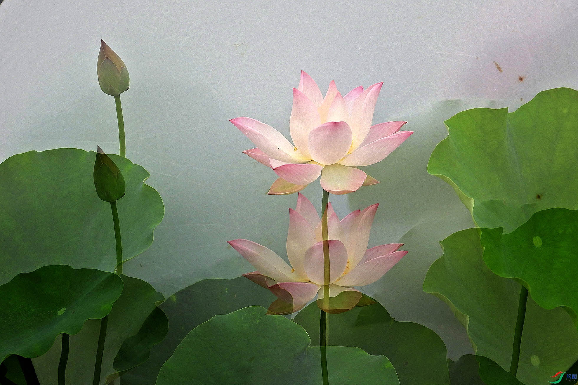 DSCN1588.JPG