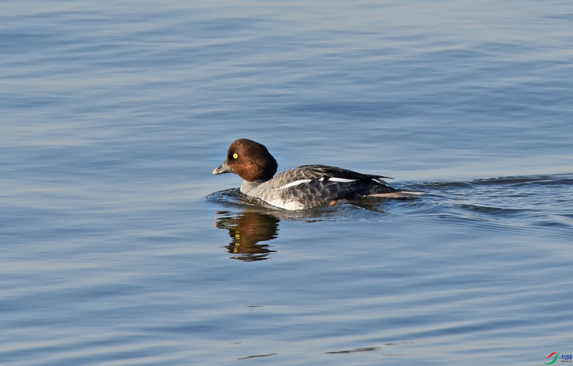 DSC_4436.jpg