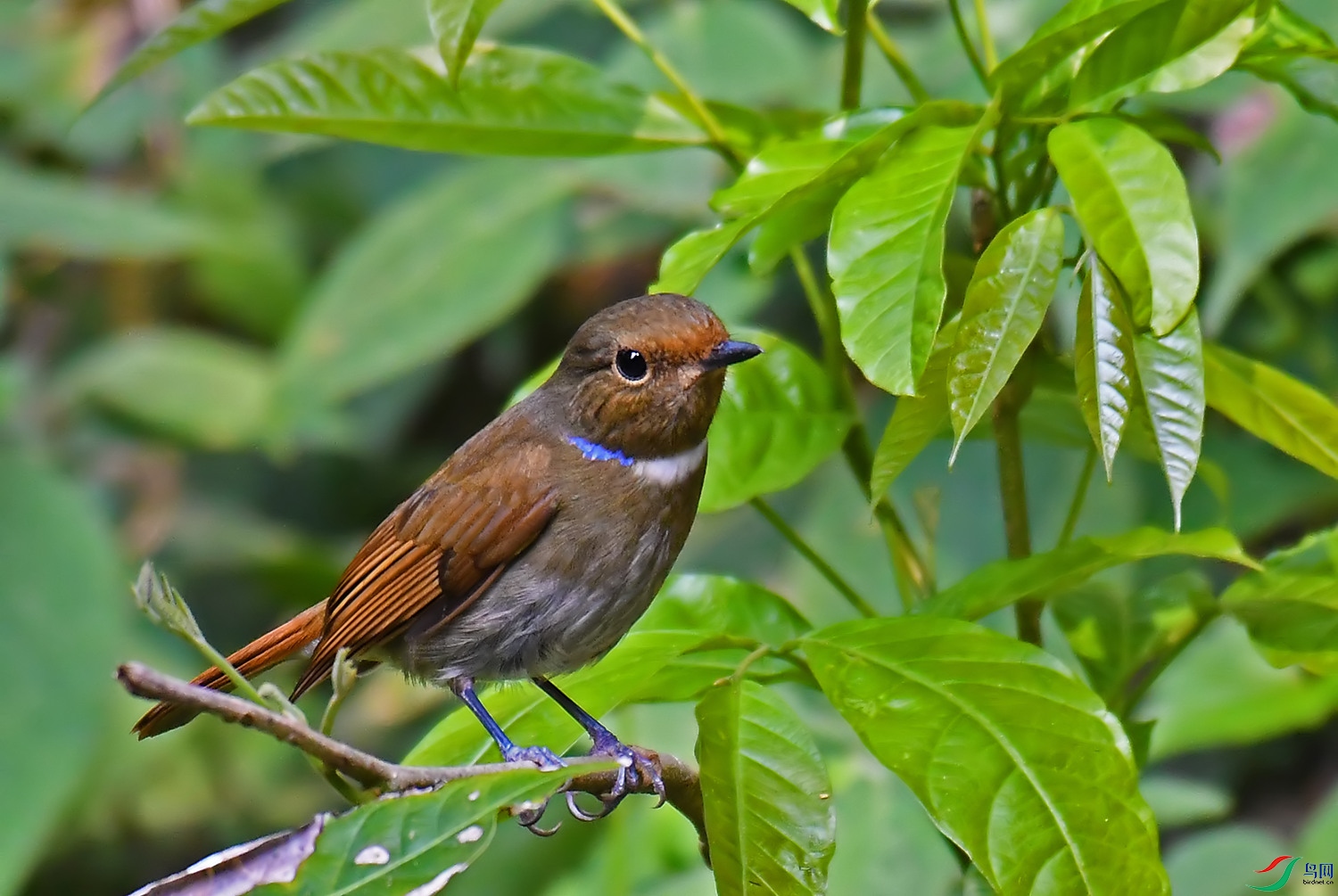 DSC_7836.jpg