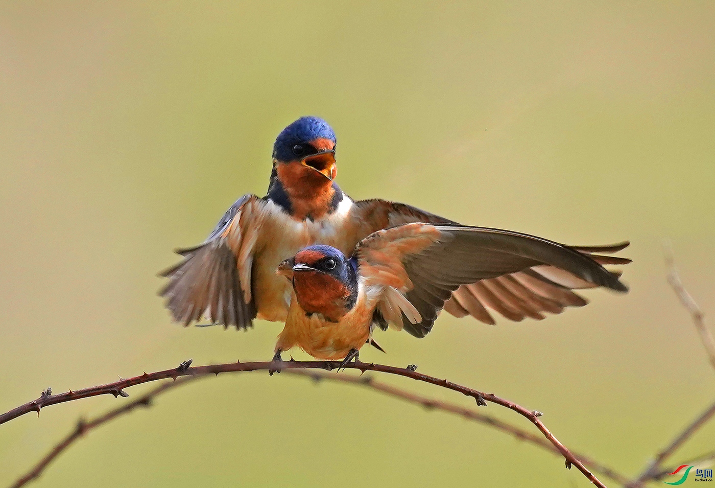 DSC09379----.jpg