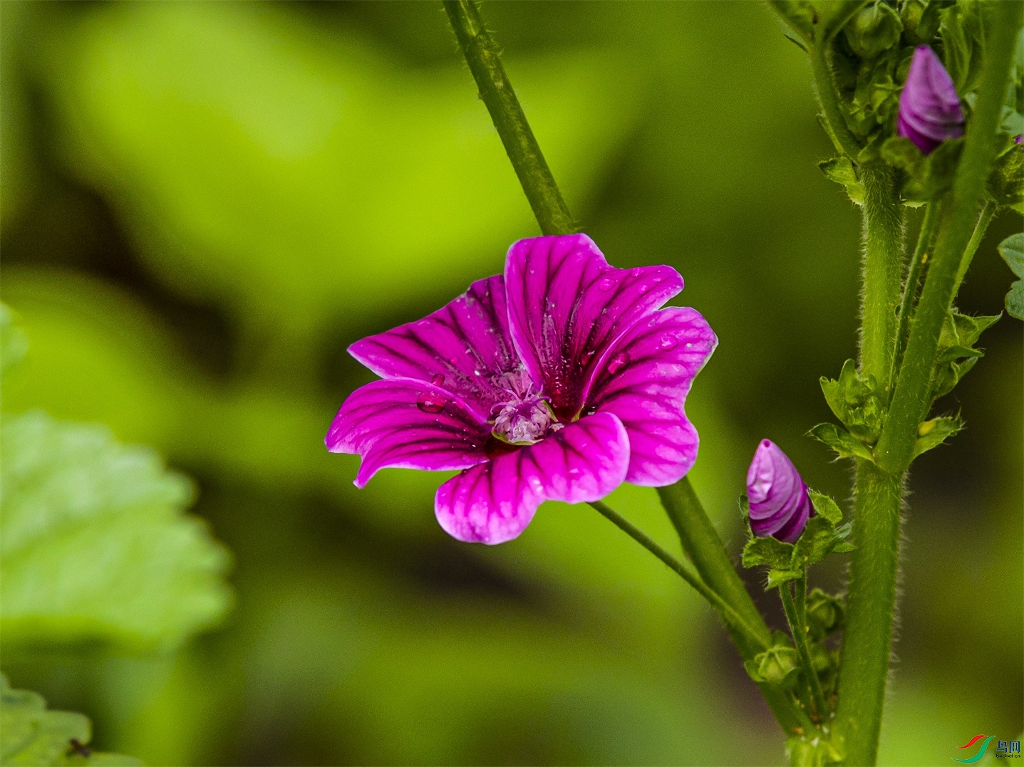 010 ����1.jpg