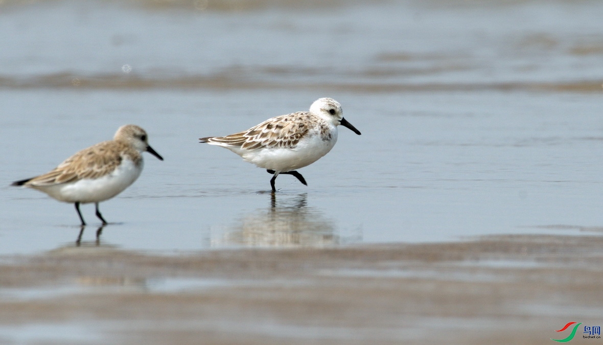 _DSC859 (3) - ����.jpg