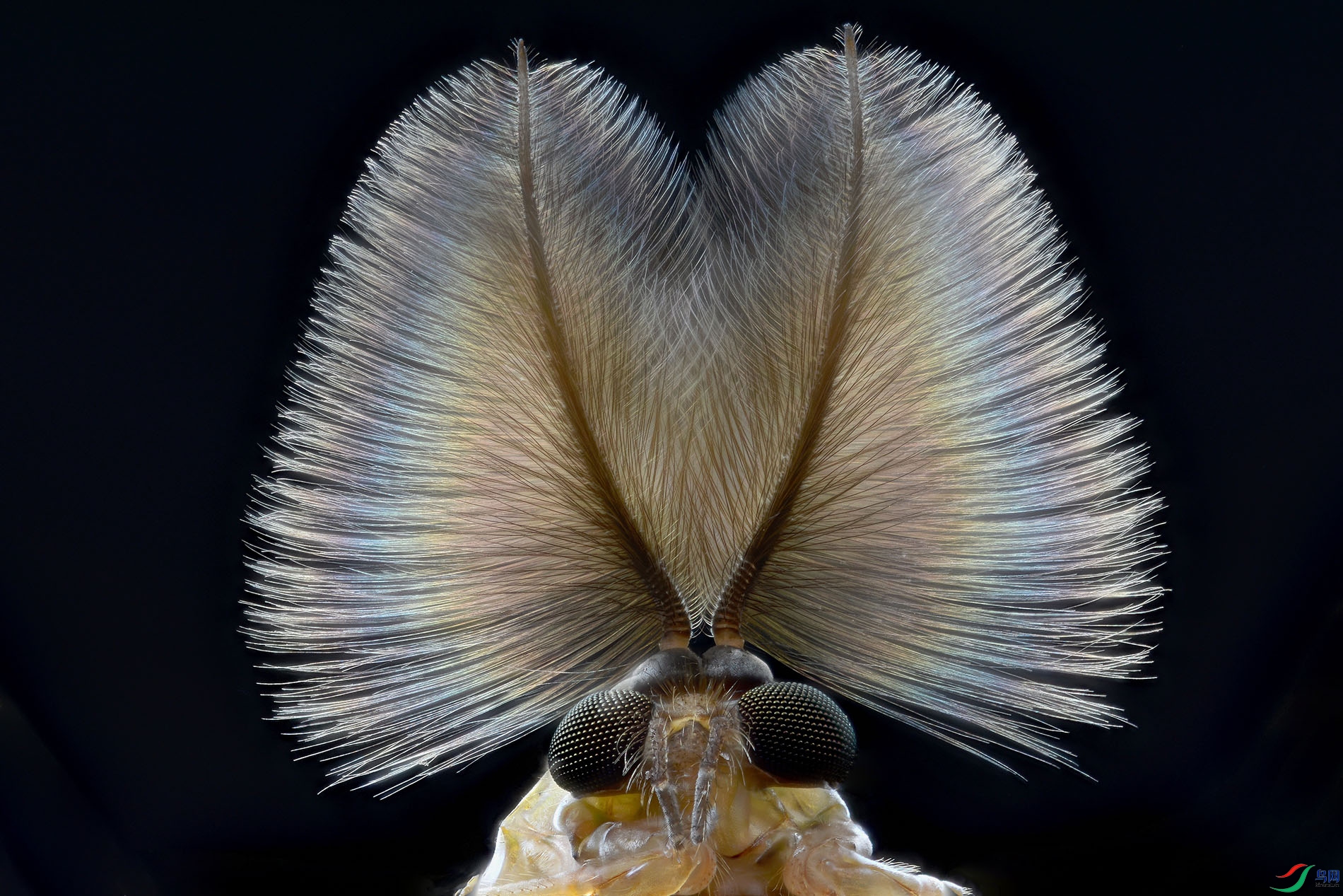 2022-04-01 18-59-22 (C,Smoothing4)-0-1-2-3-4.jpg