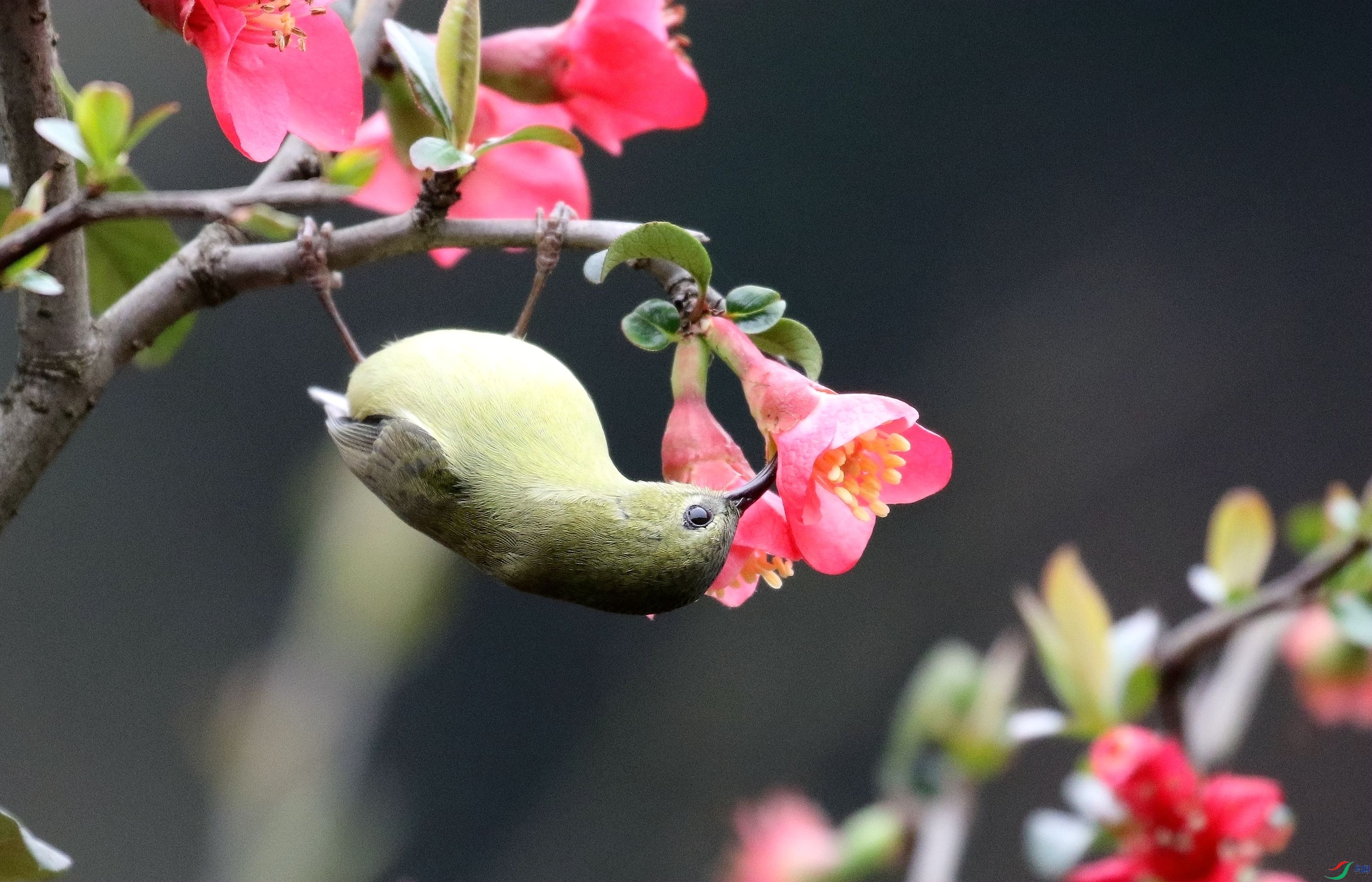 ����������1U4A5452_����.jpg