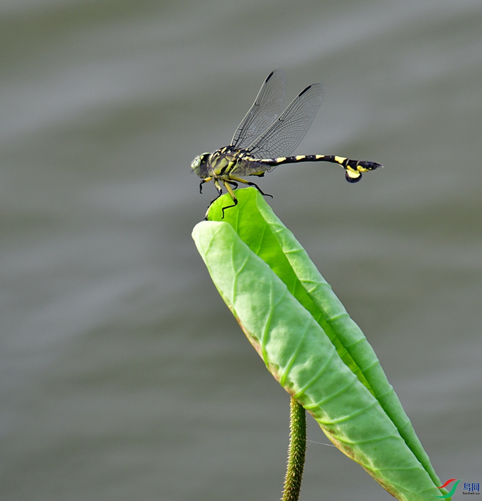 DSC_3012.JPG