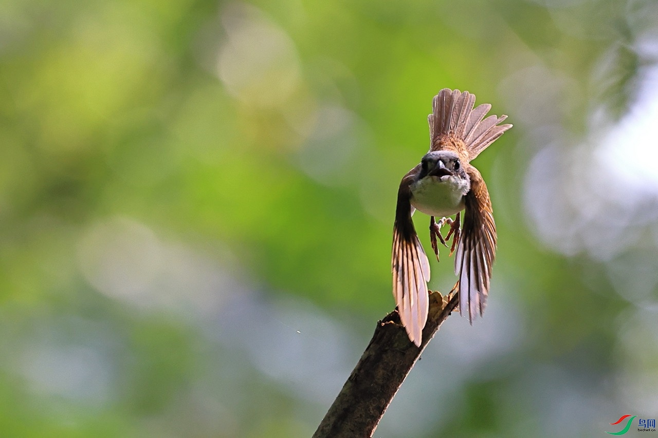 A24I1504 ��.jpeg