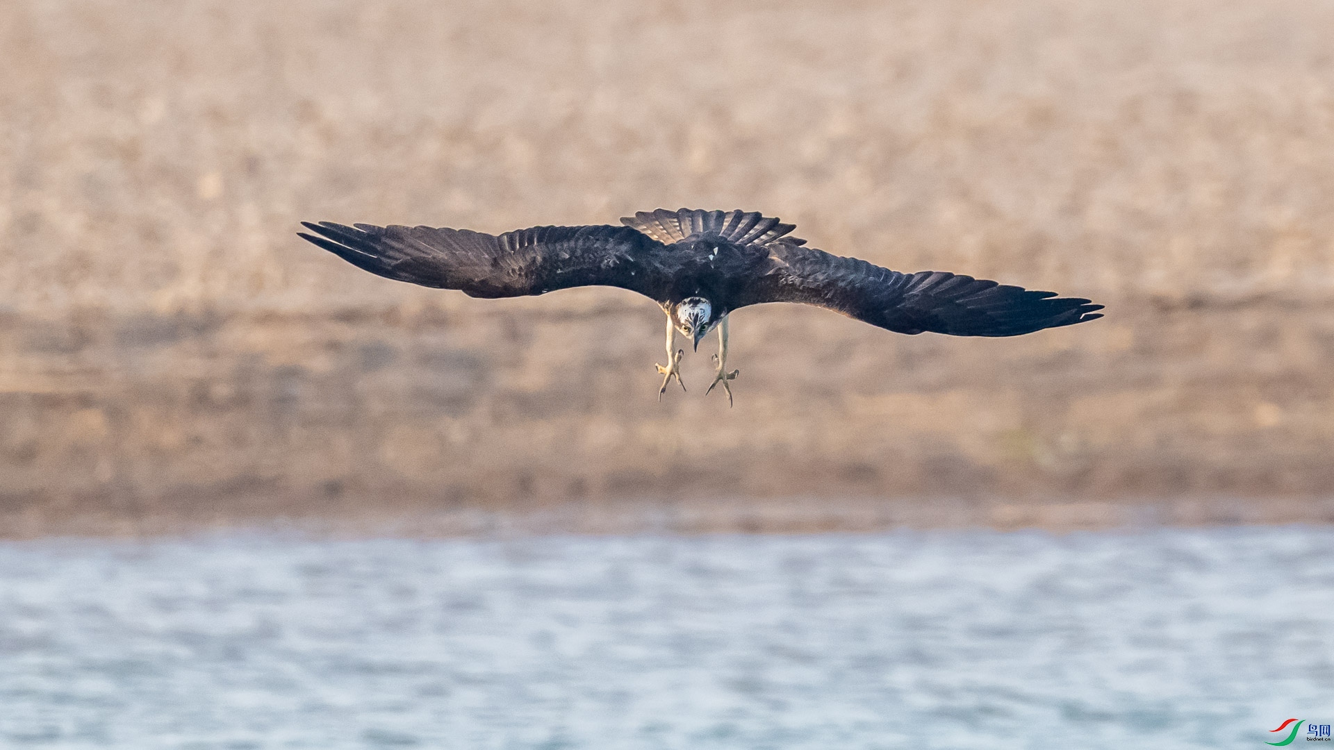 _DSC1504.jpg