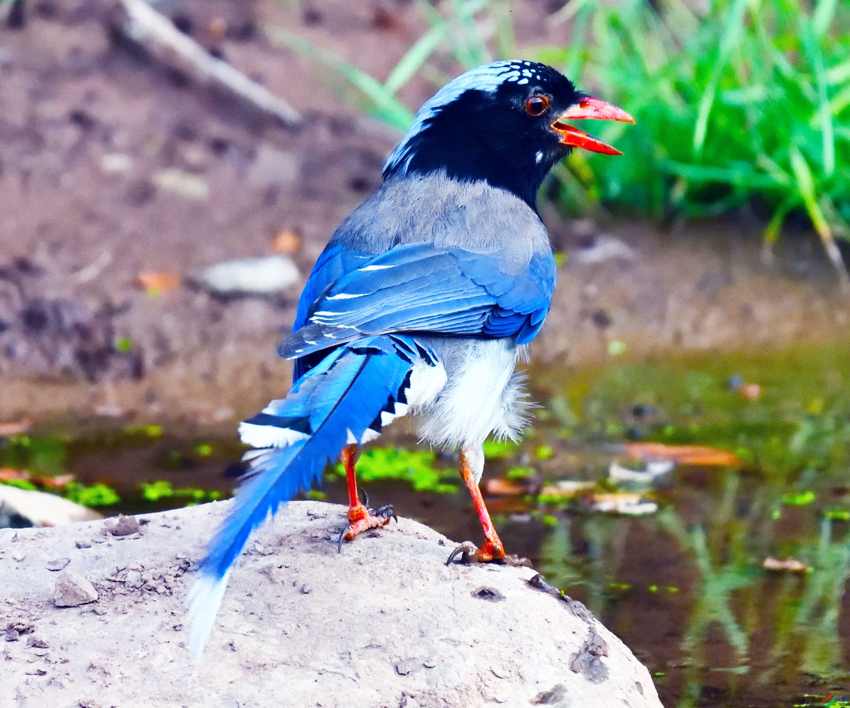 DSC_8553_2105.jpg