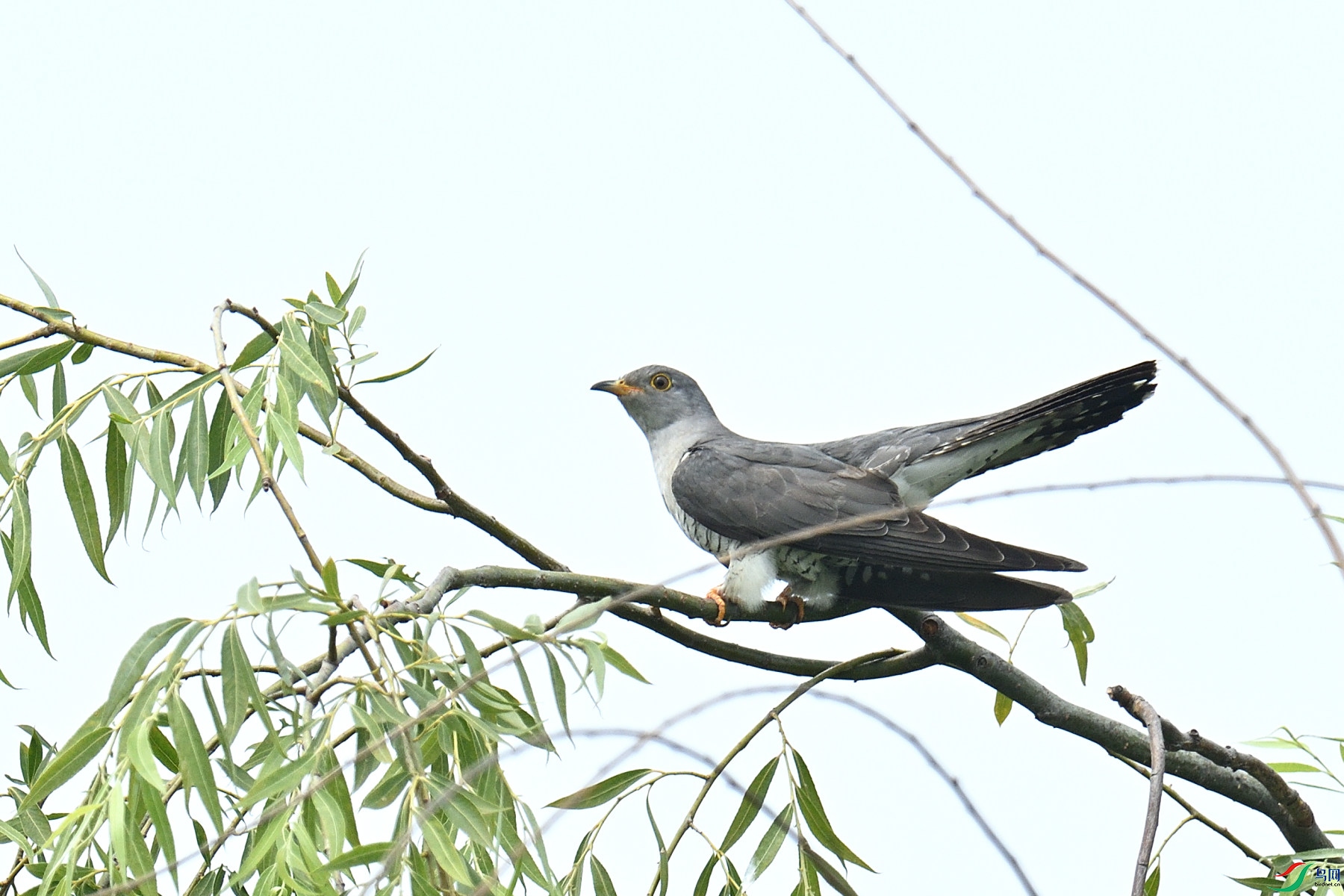 DSC_8905.JPG