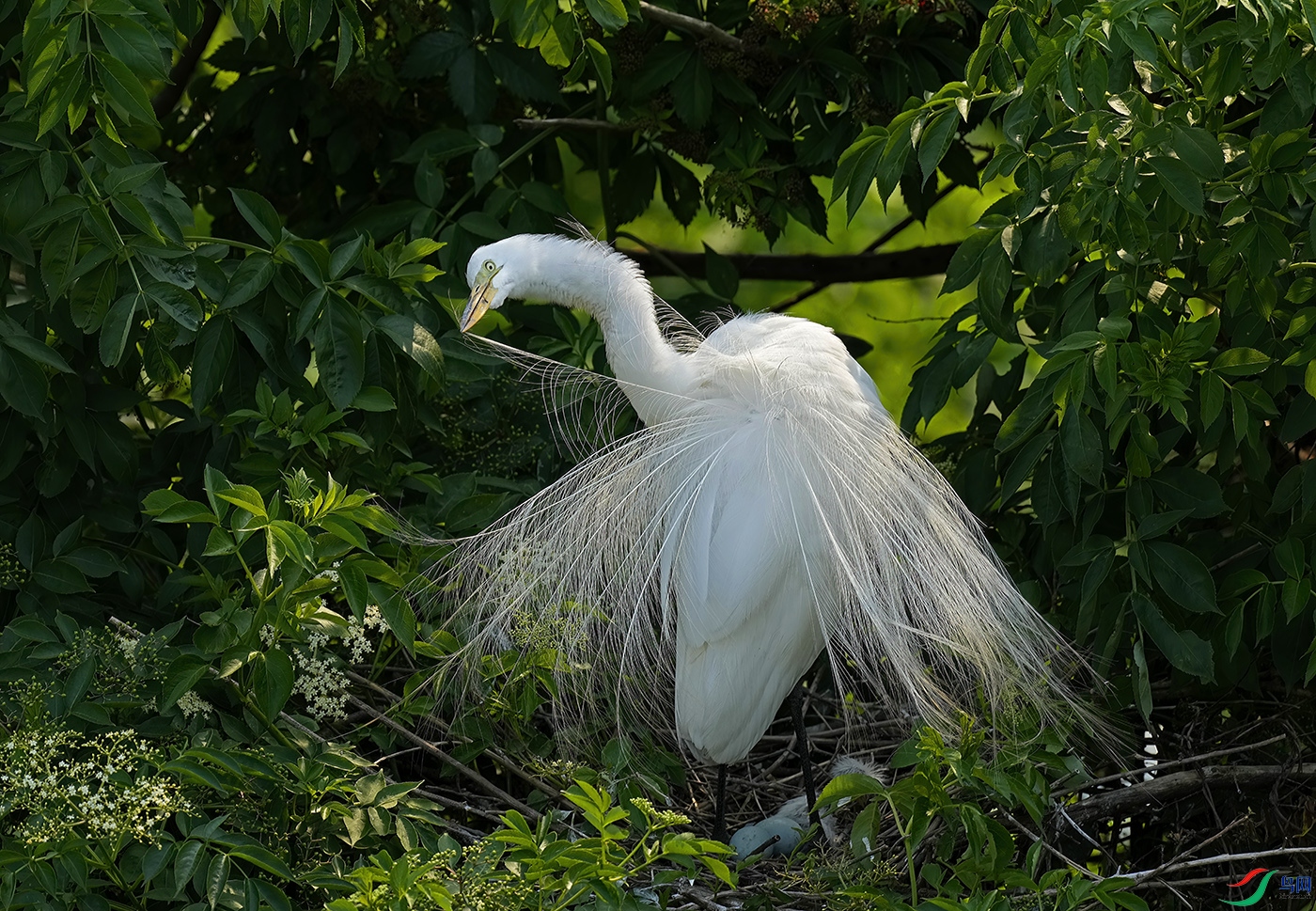_DSD0669----.jpg